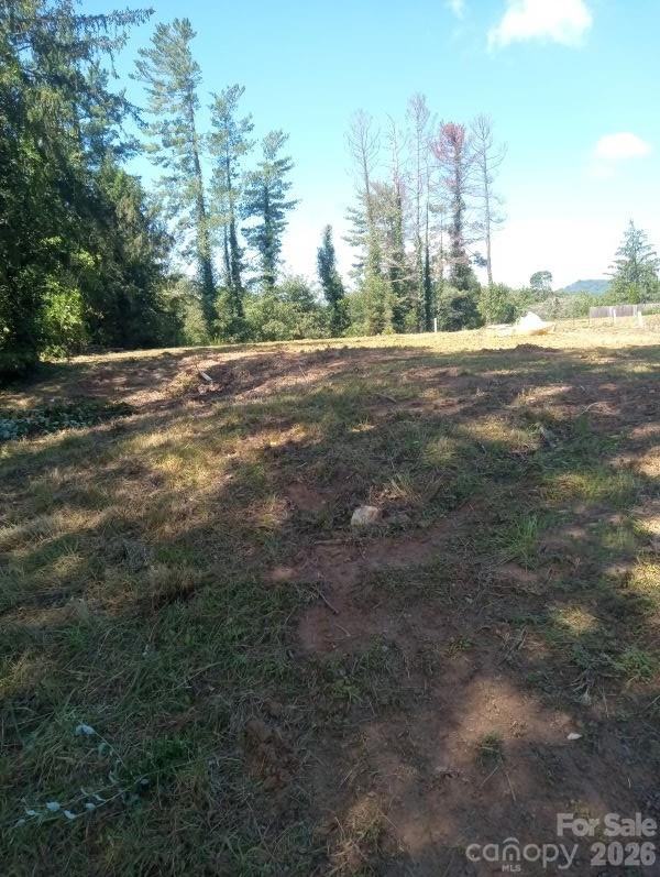 116 Starnes Cove Road Property Photo 11