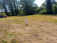 116 Starnes Cove Road Property Photo 14