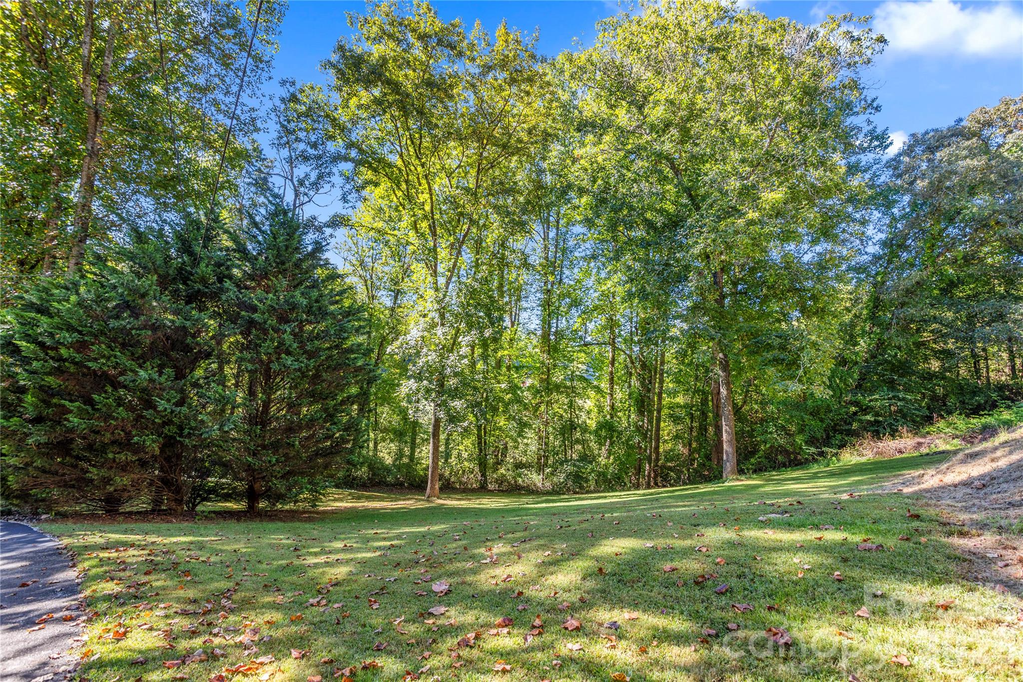 183 Gobbler Circle Property Photo 20