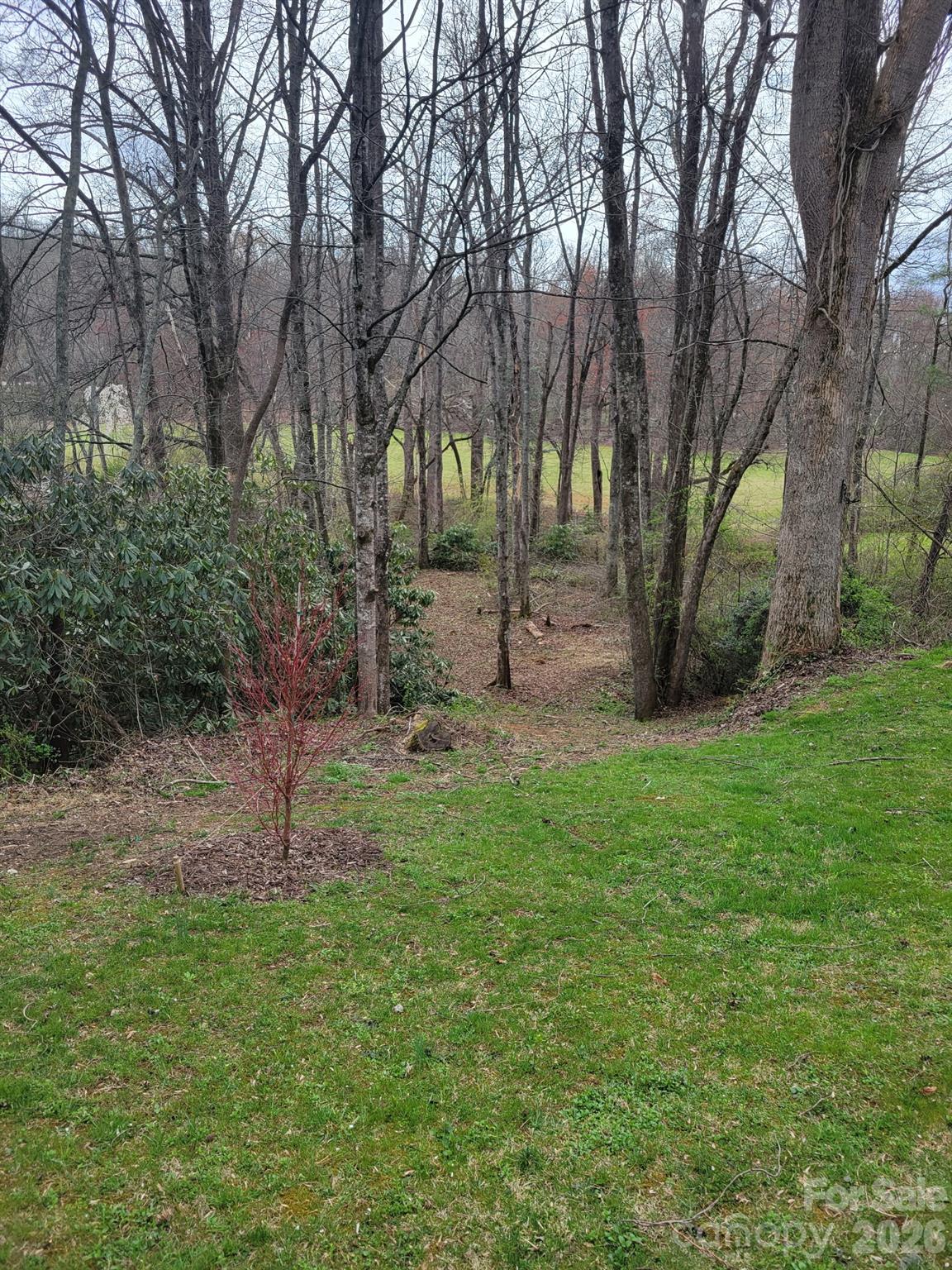 183 Gobbler Circle Property Photo 25