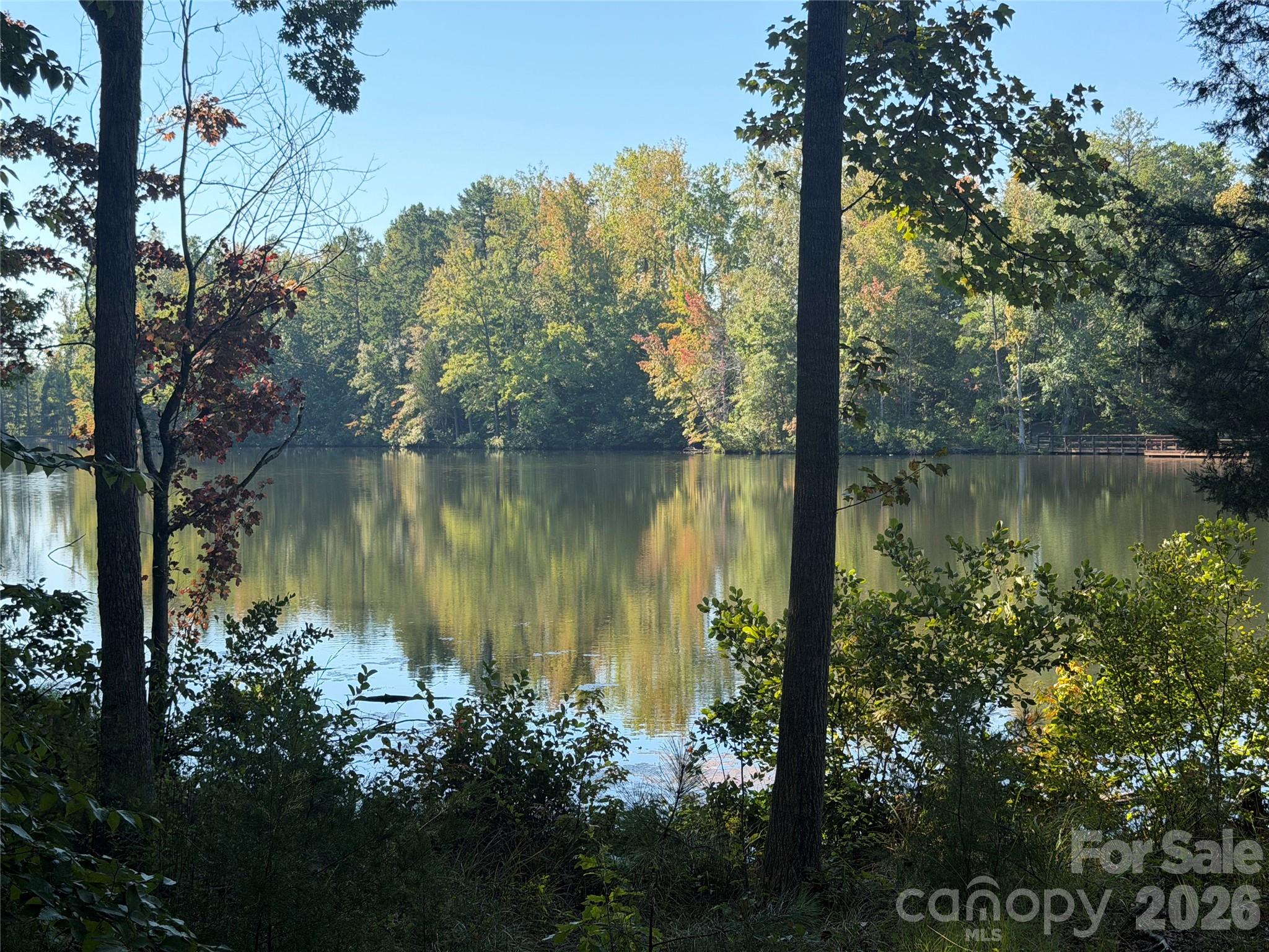 8122 Asher Chase Trail Property Photo 41