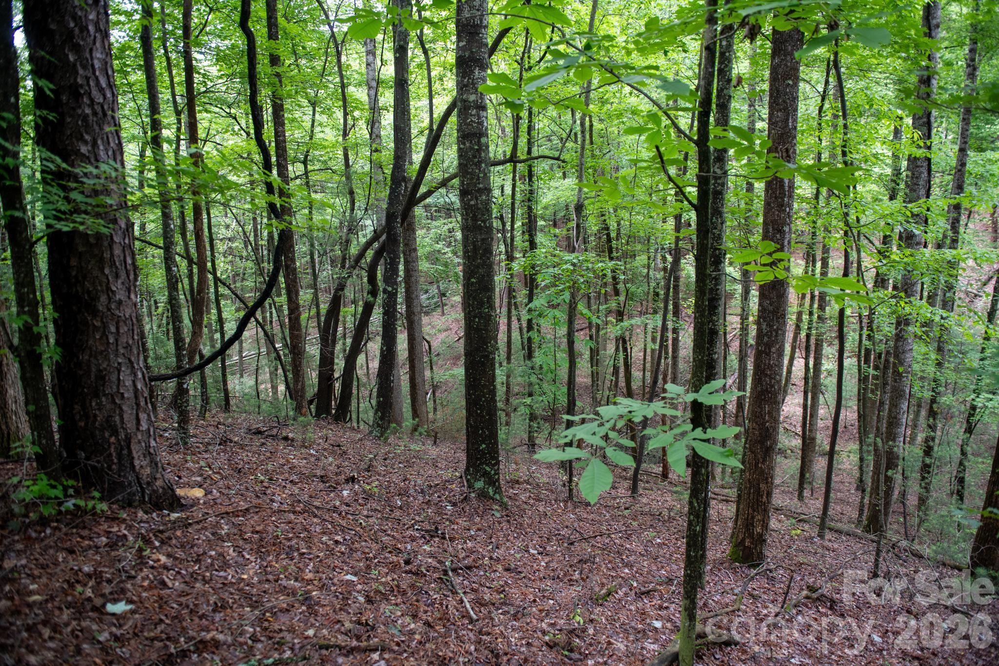 0000 Wheel Team Trail 44 Property Photo 3