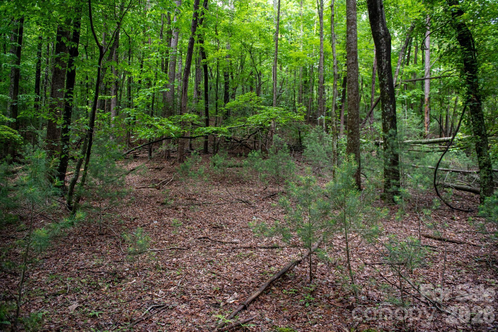 0000 Wheel Team Trail 44 Property Photo 6