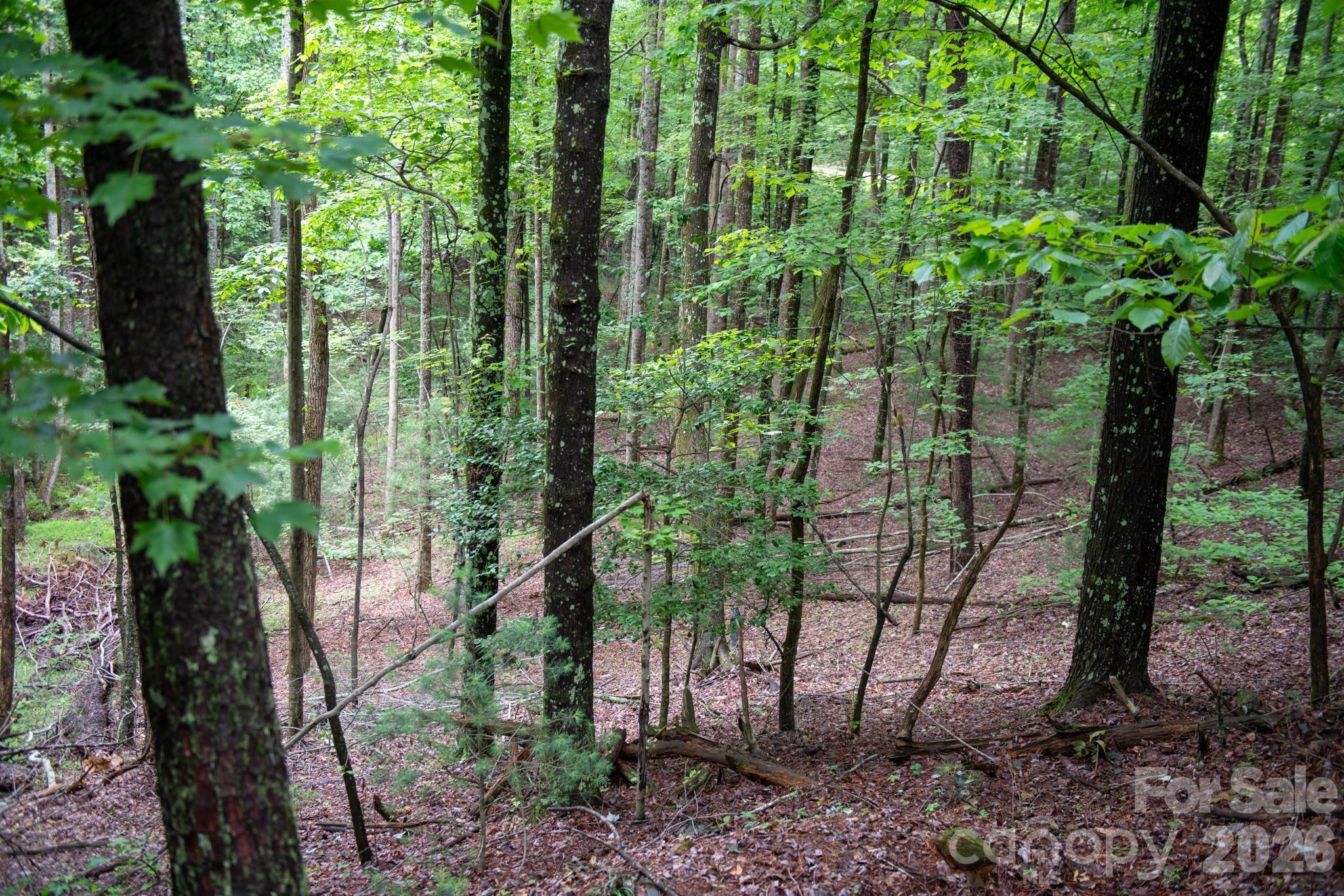 0000 Wheel Team Trail 44 Property Photo 7