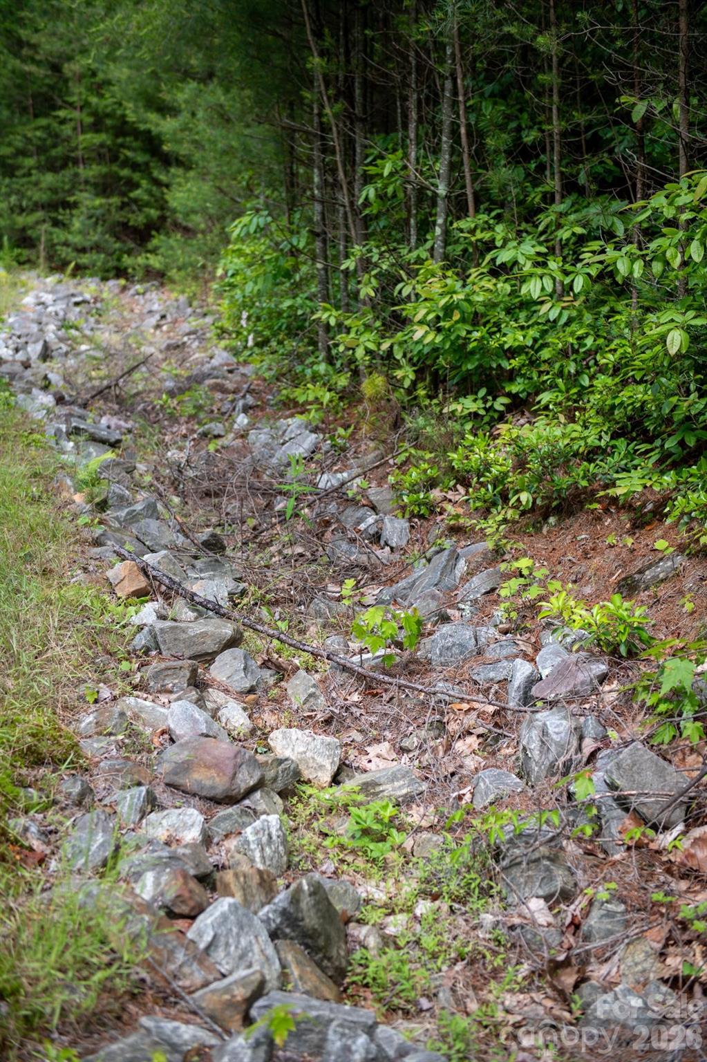 0000 Wheel Team Trail 44 Property Photo 8