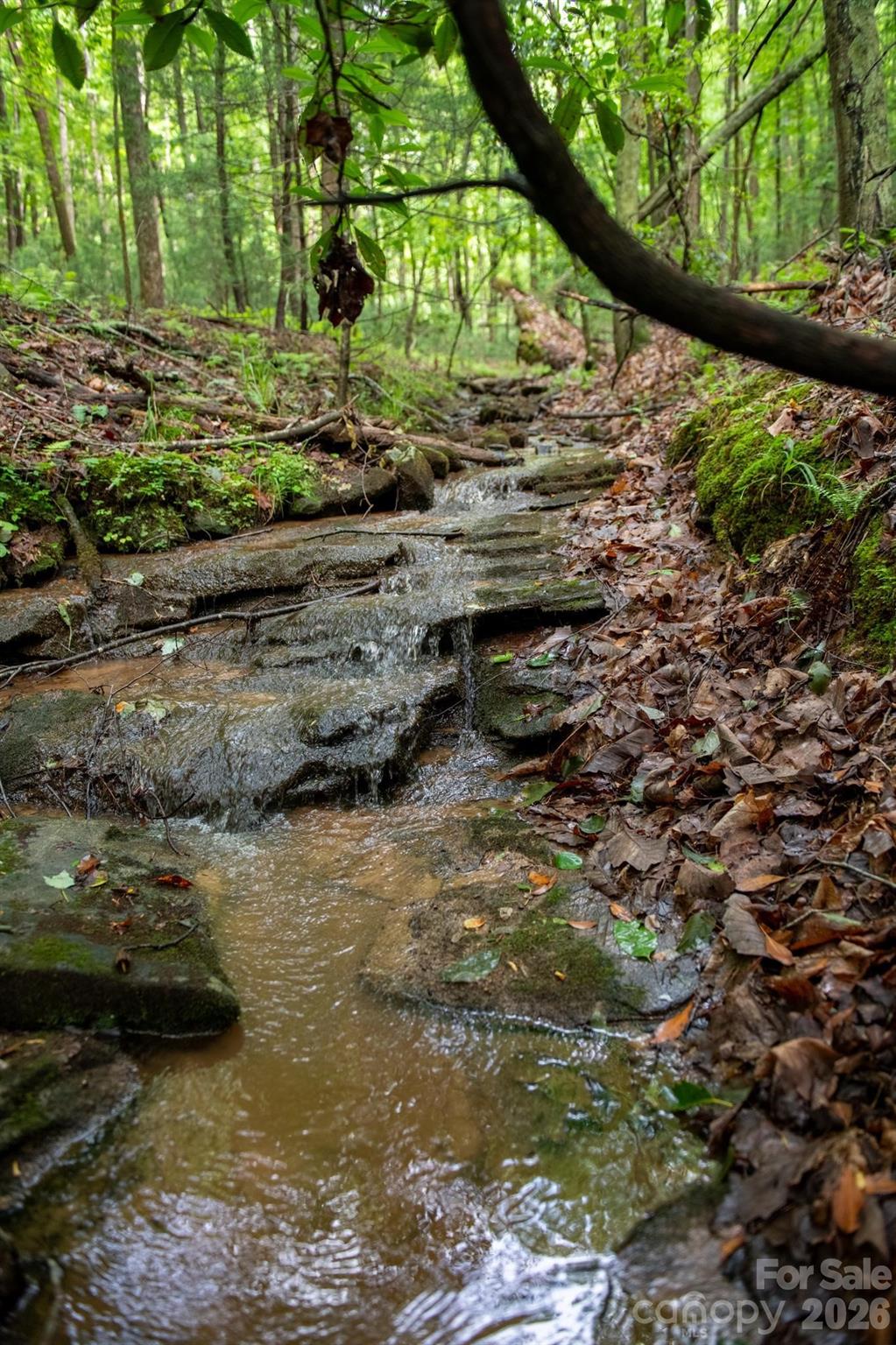 0000 Wheel Team Trail 44 Property Photo 12