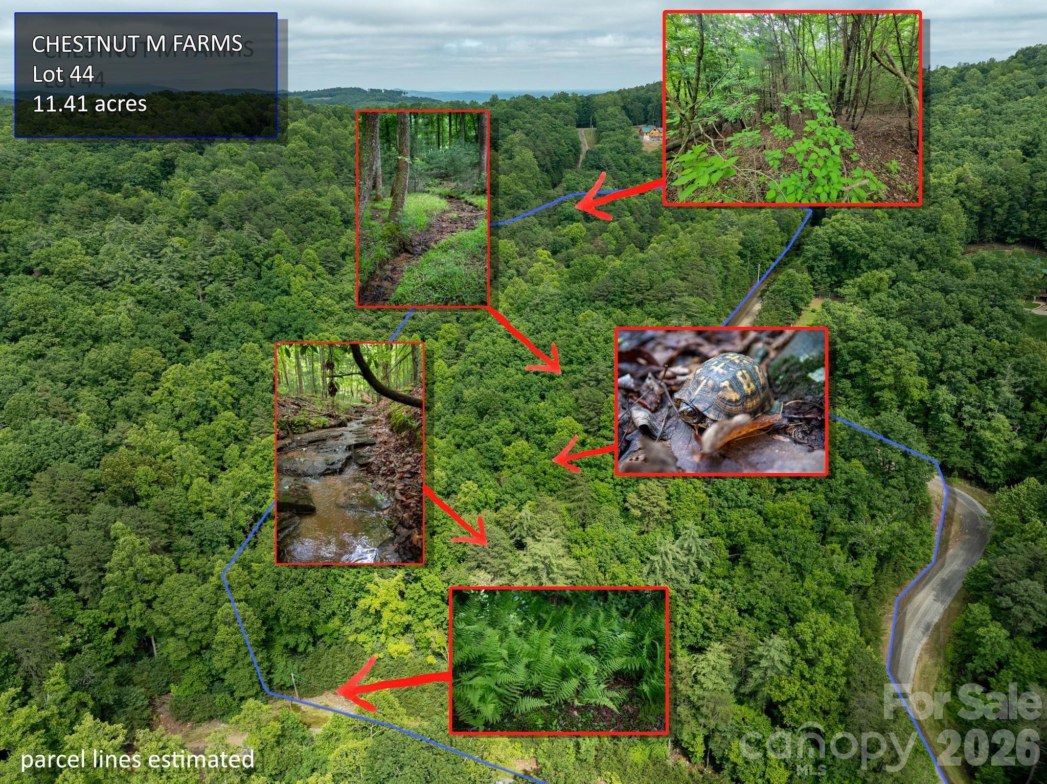0000 Wheel Team Trail 44 Property Photo 13