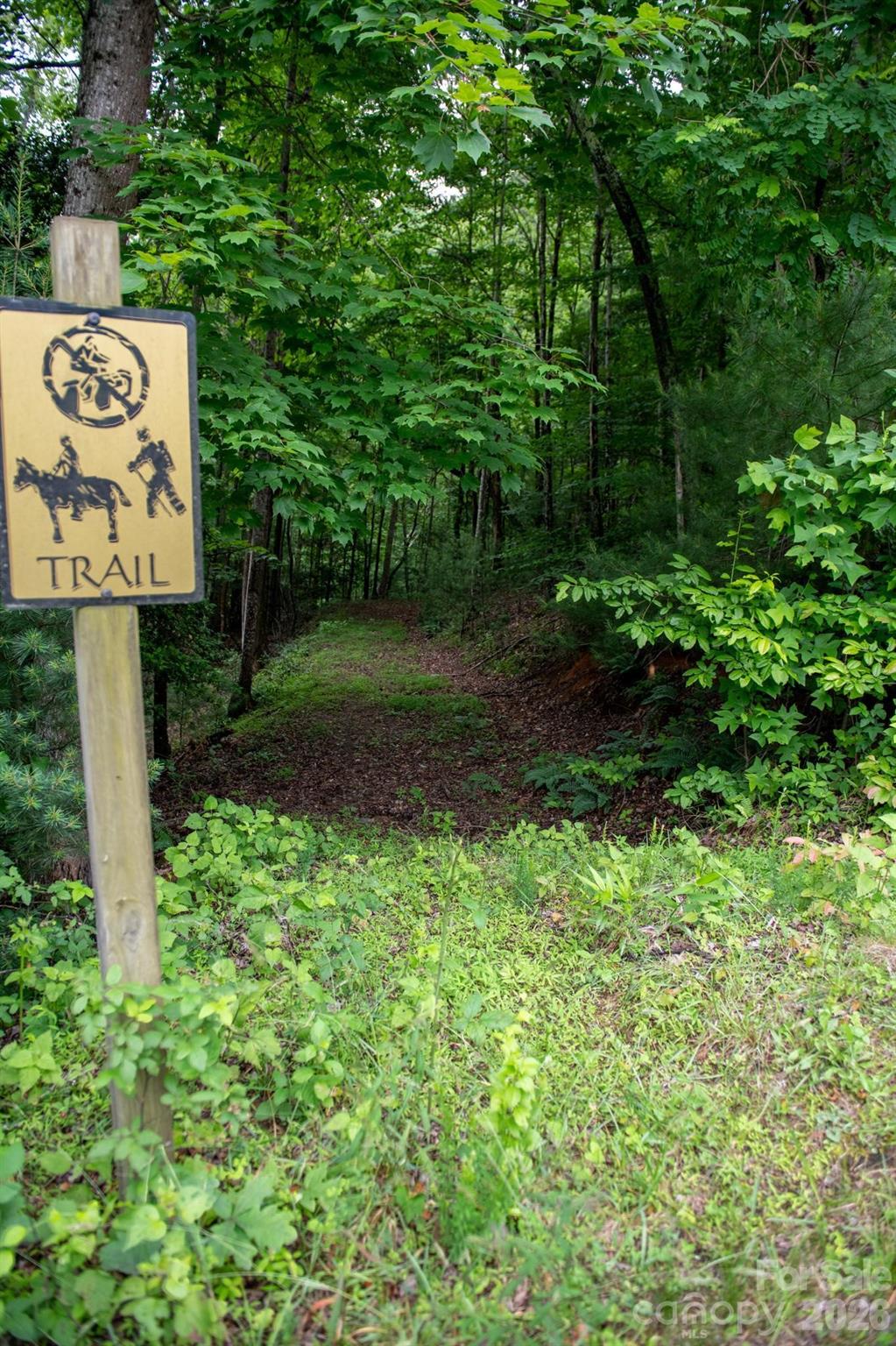 0000 Wheel Team Trail 44 Property Photo 48