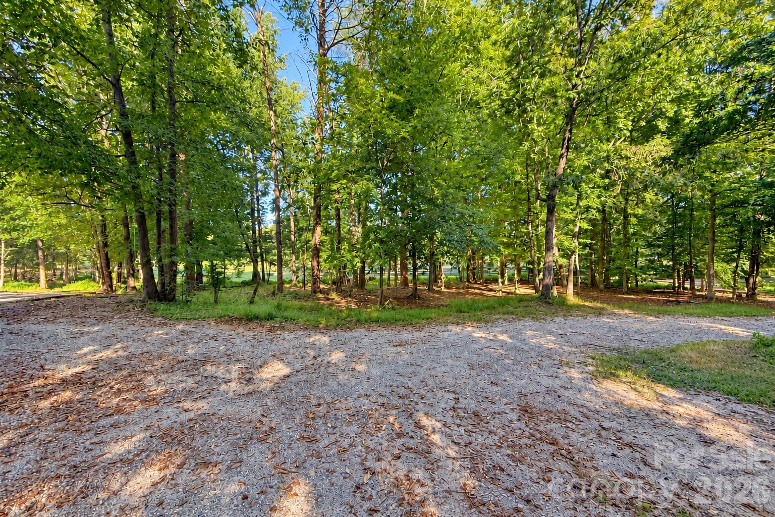 150 Rabun Run Property Photo 3