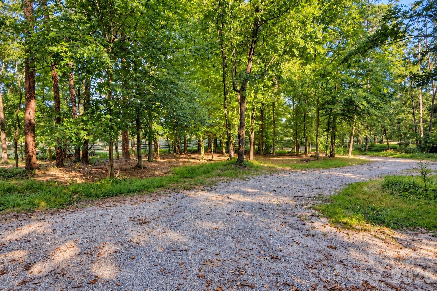 150 Rabun Run Property Photo 4