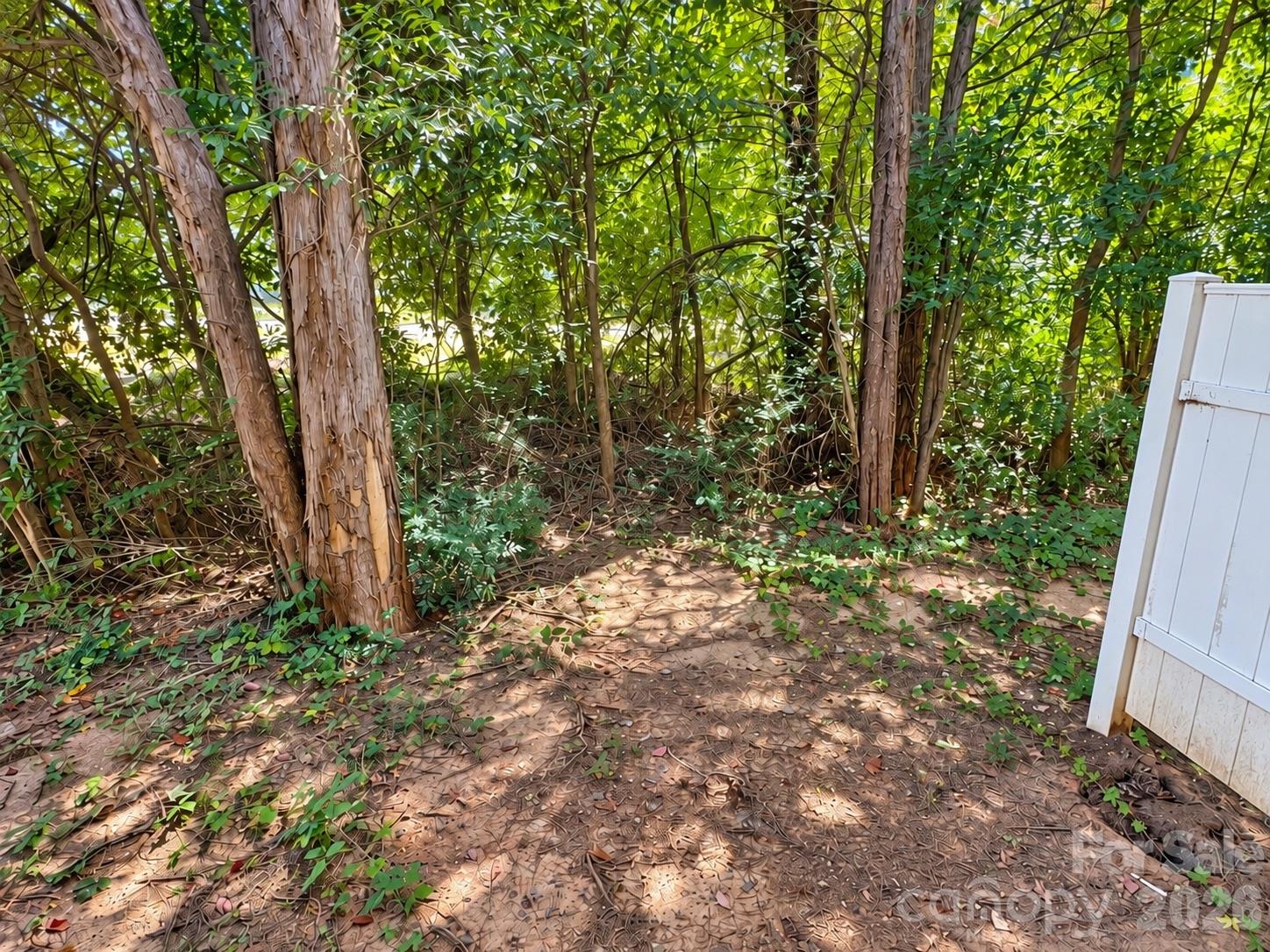 5356 Austin Knoll Court Property Photo 30