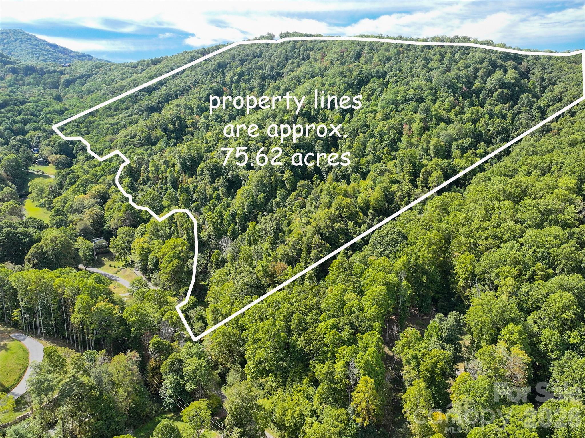 000 Mauney Cove Road Property Photo 1