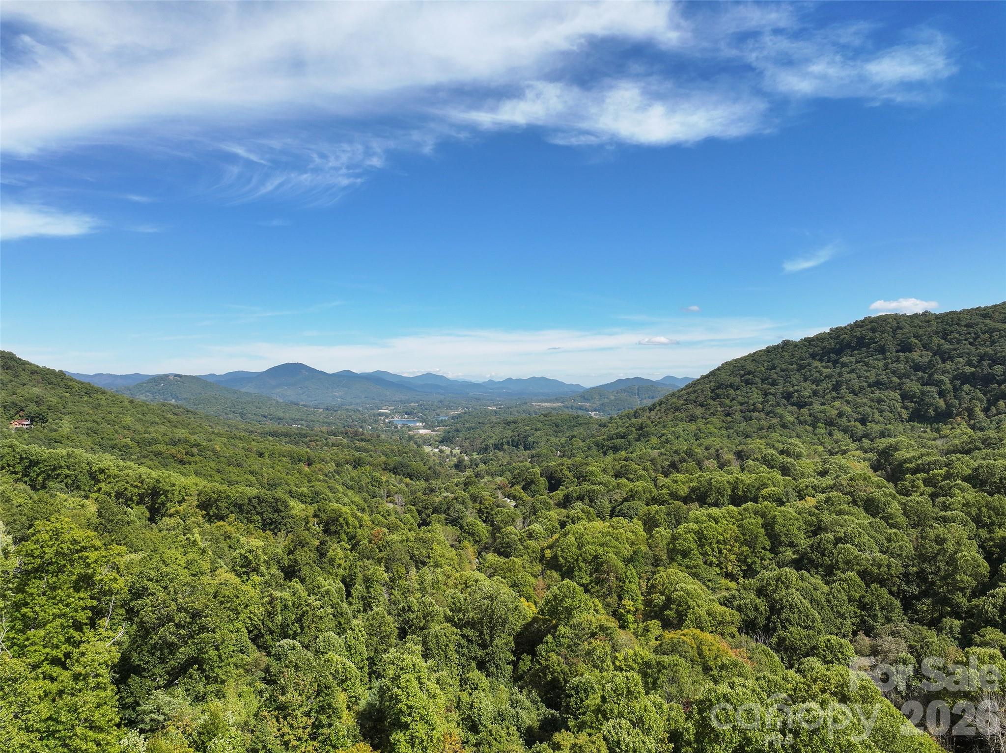 000 Mauney Cove Road Property Photo 2
