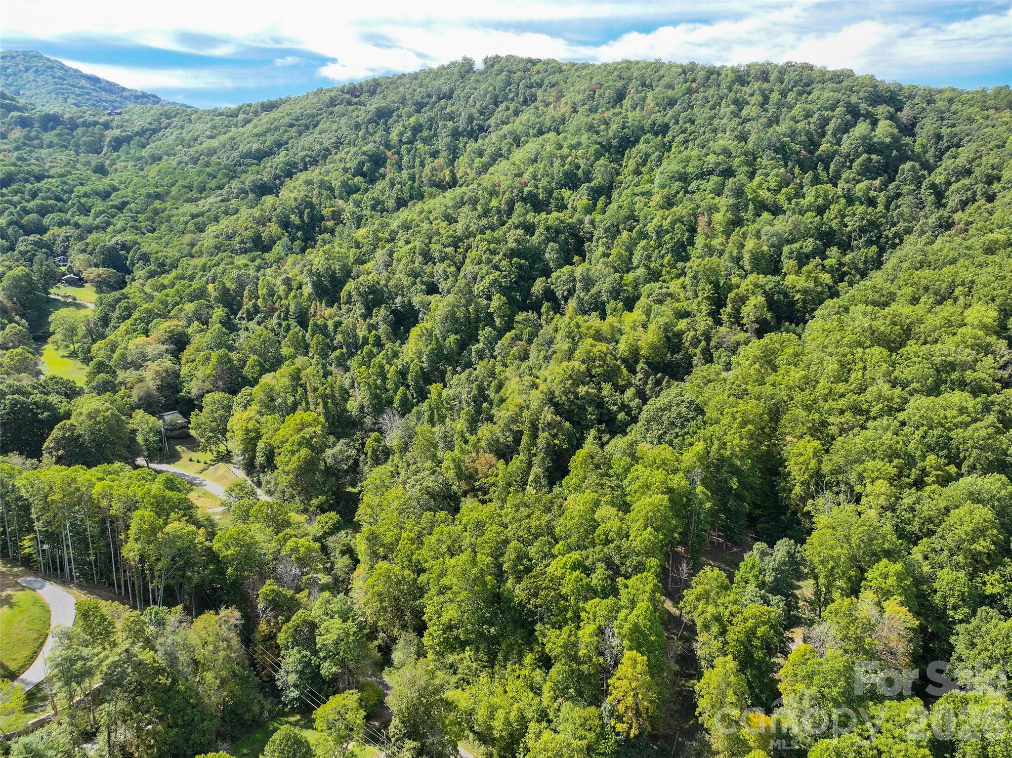 000 Mauney Cove Road Property Photo 3
