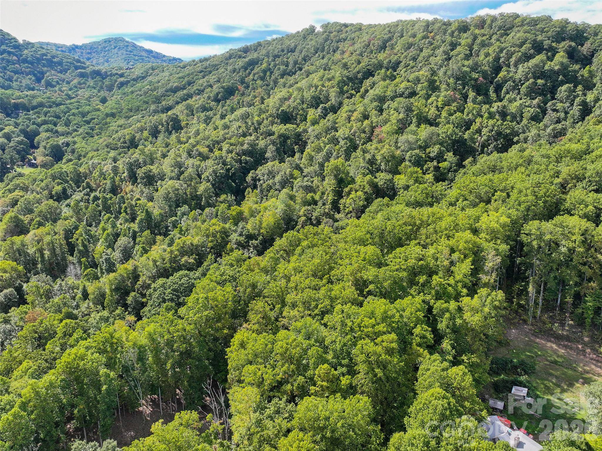 000 Mauney Cove Road Property Photo 4
