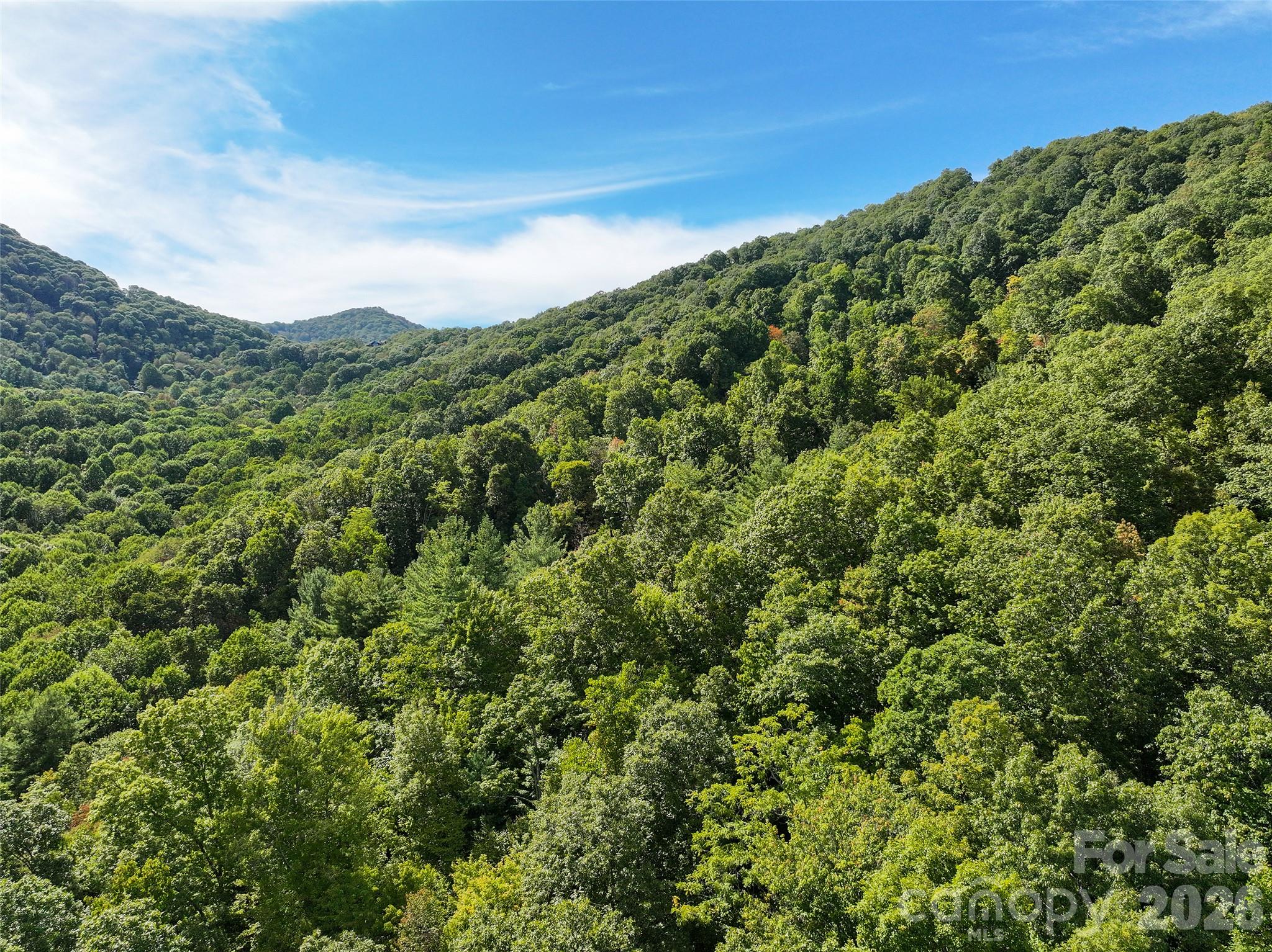 000 Mauney Cove Road Property Photo 8