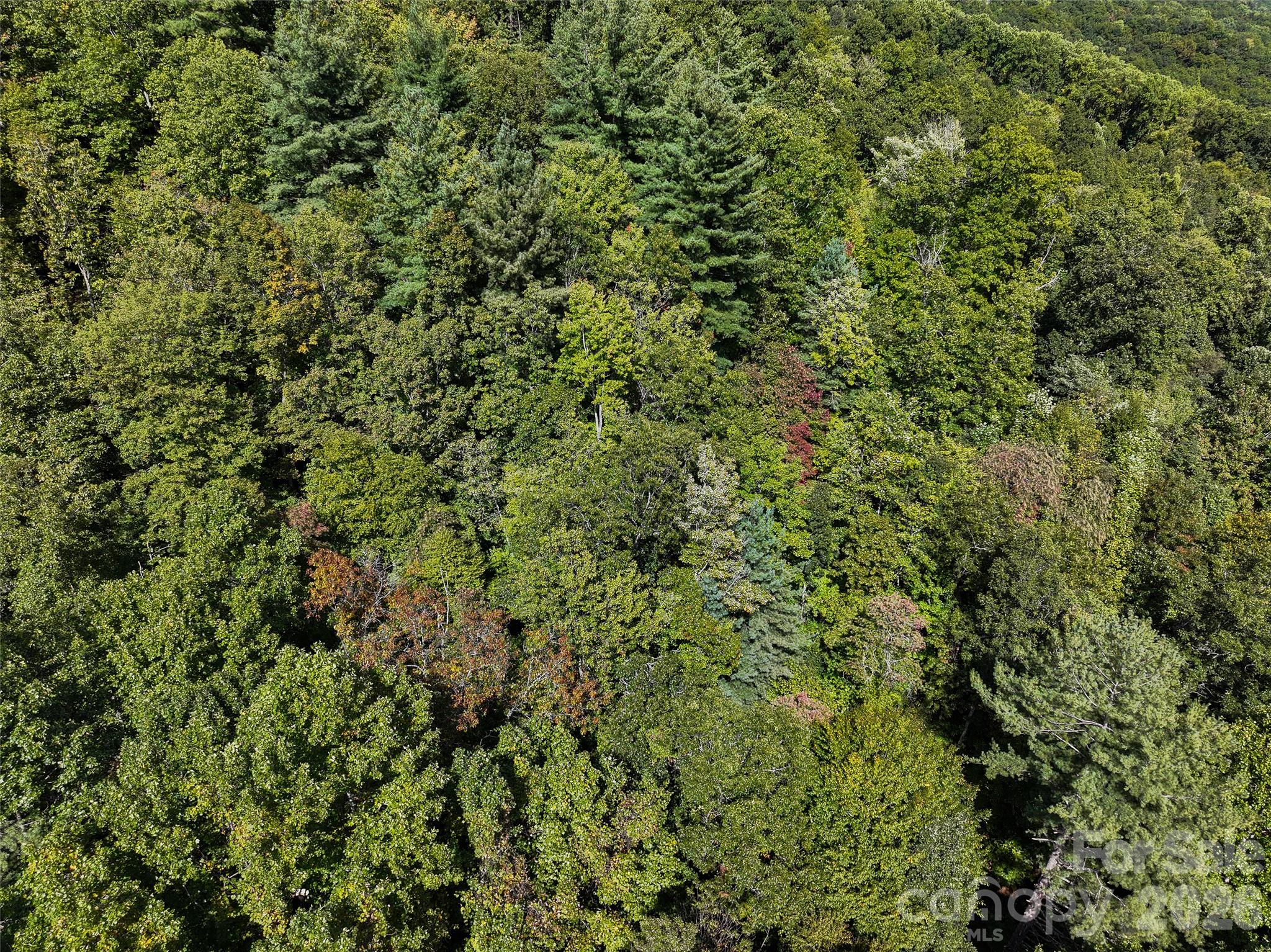 000 Mauney Cove Road Property Photo 10