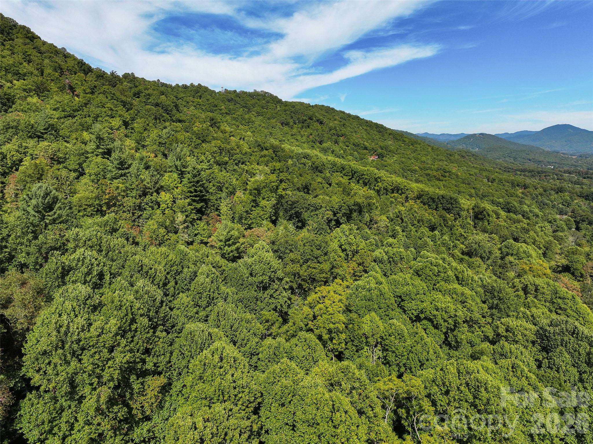 000 Mauney Cove Road Property Photo 11