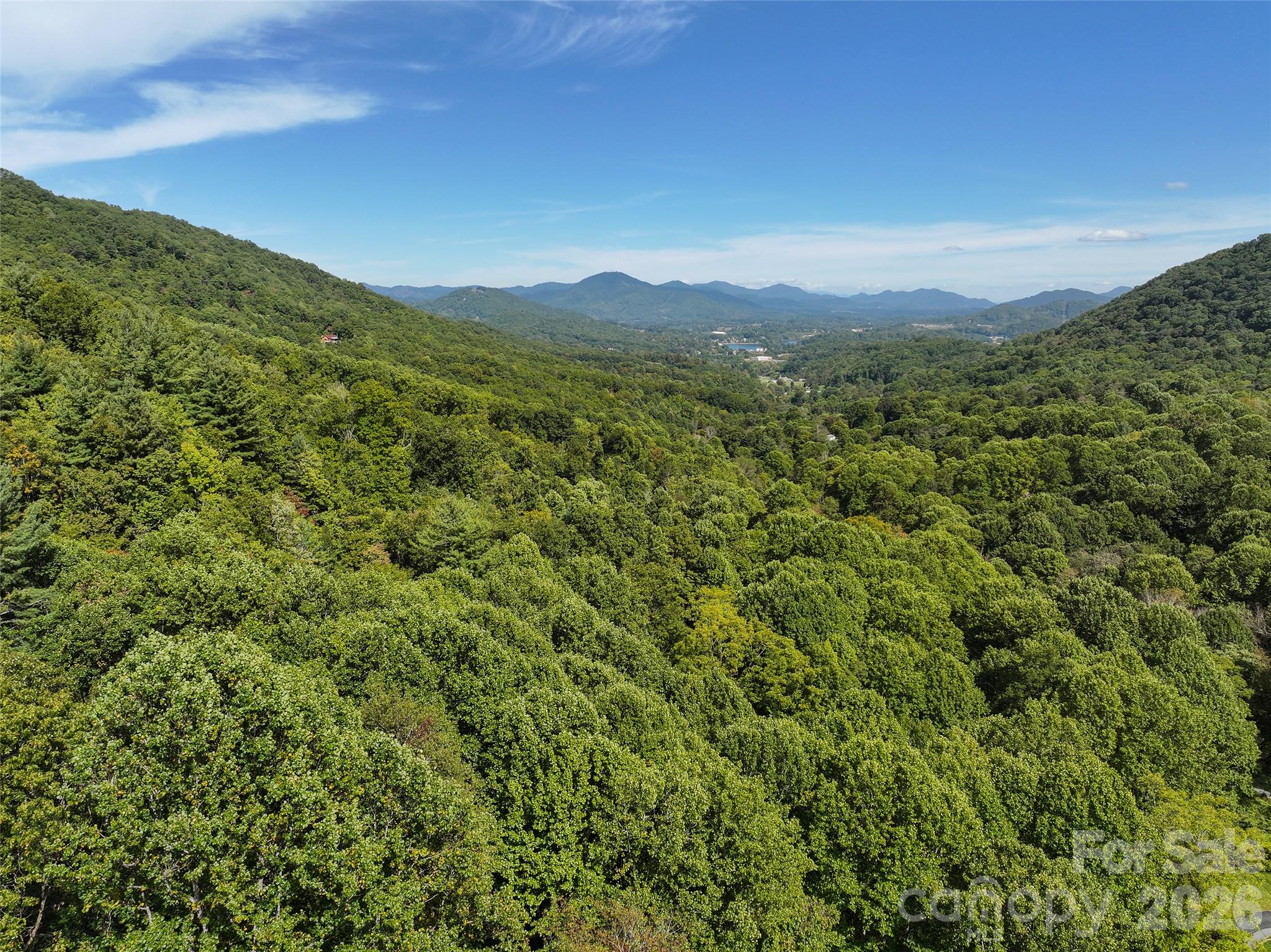000 Mauney Cove Road Property Photo 12