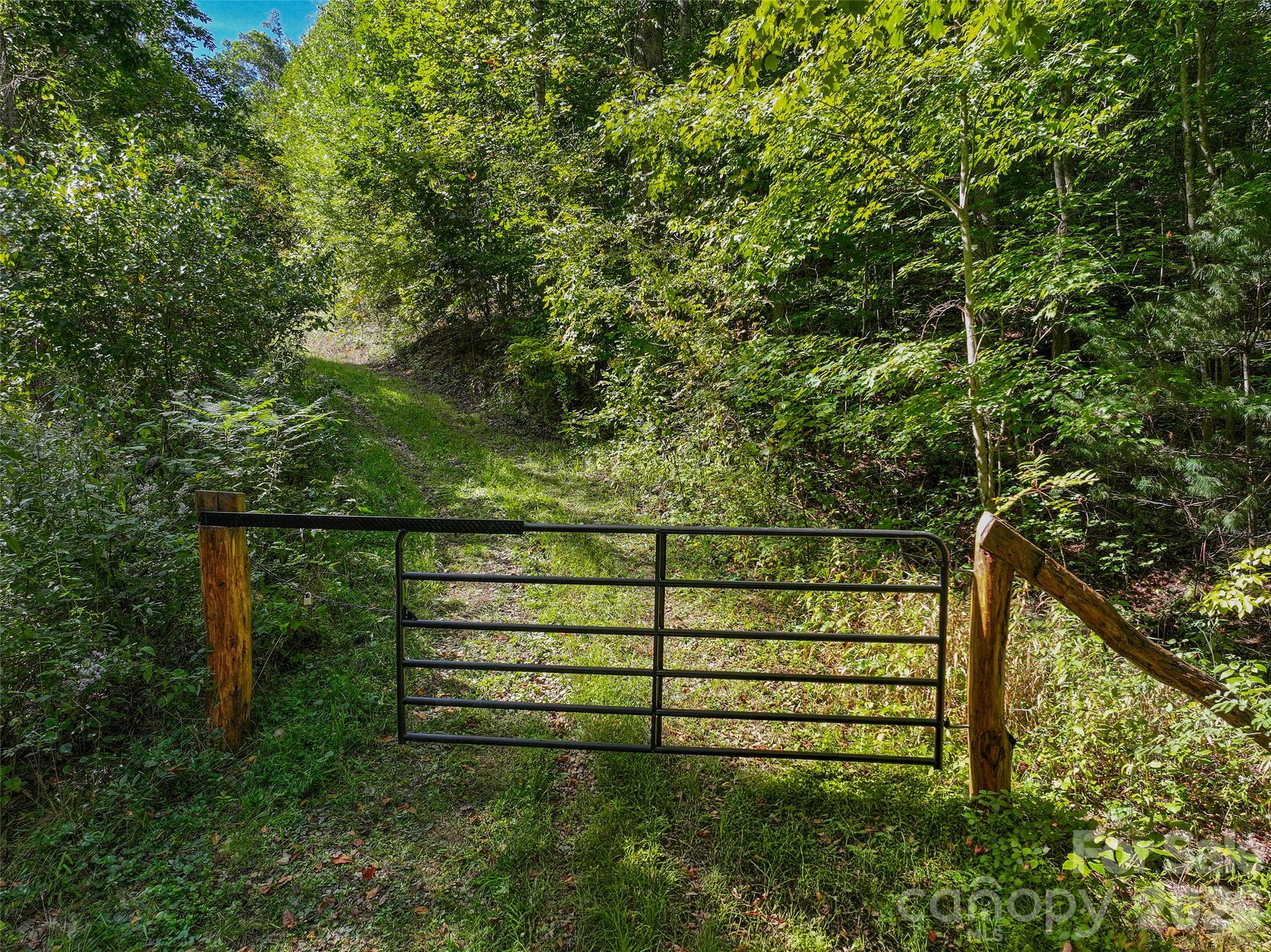 000 Mauney Cove Road Property Photo 13