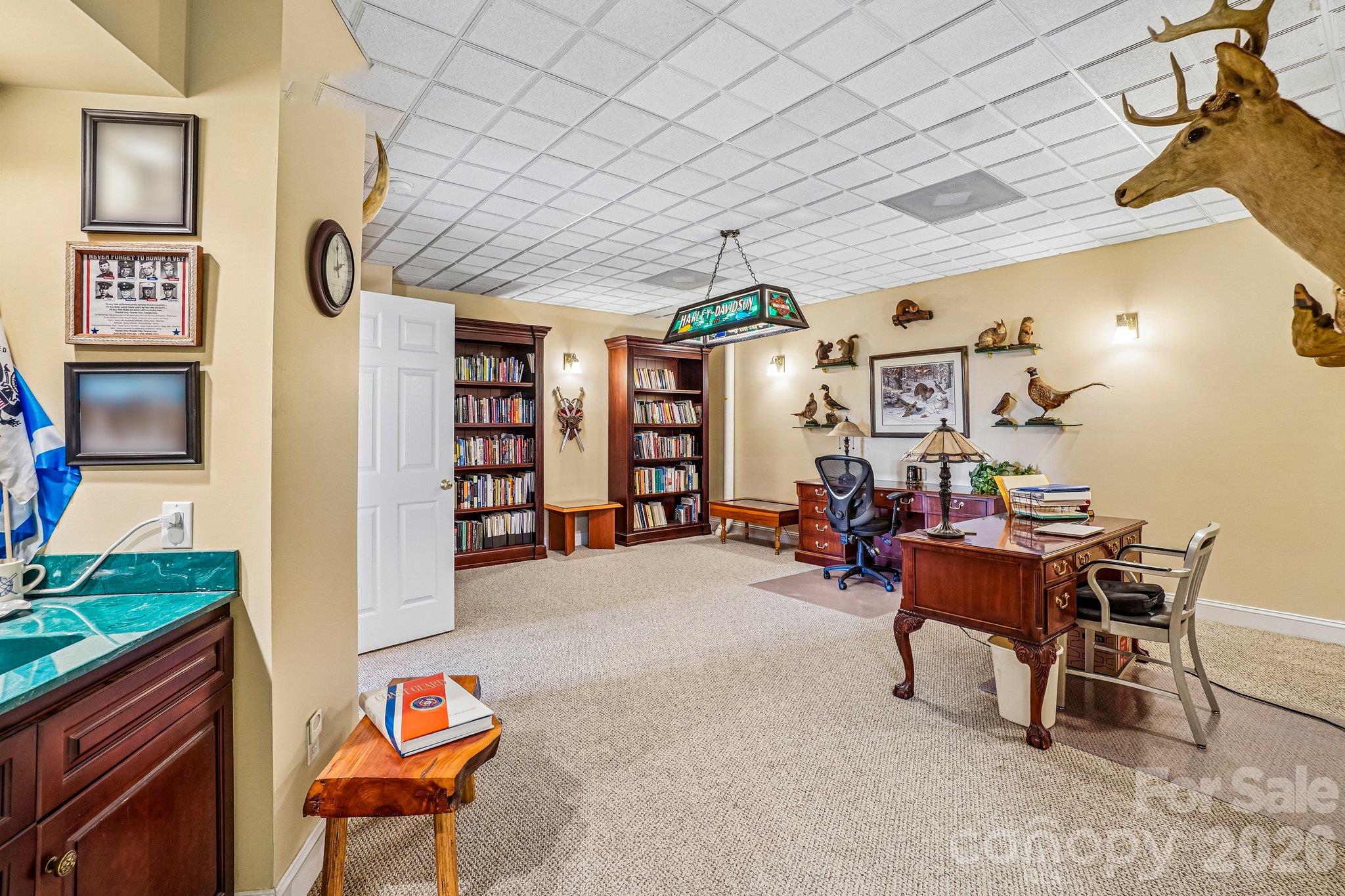239 Bearwallow Mountain Road Property Photo 26