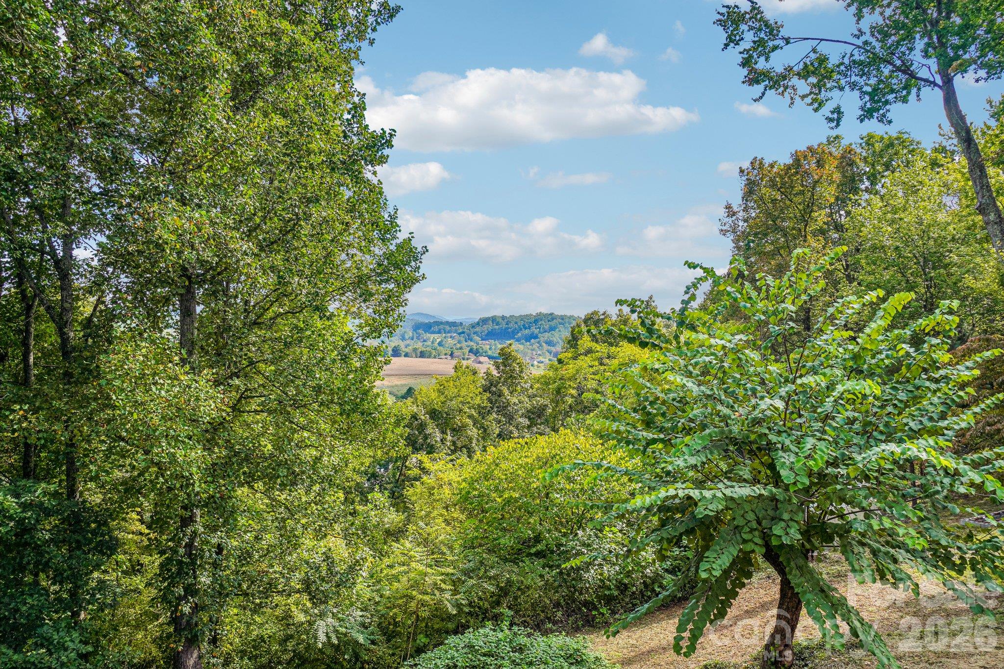 239 Bearwallow Mountain Road Property Photo 33