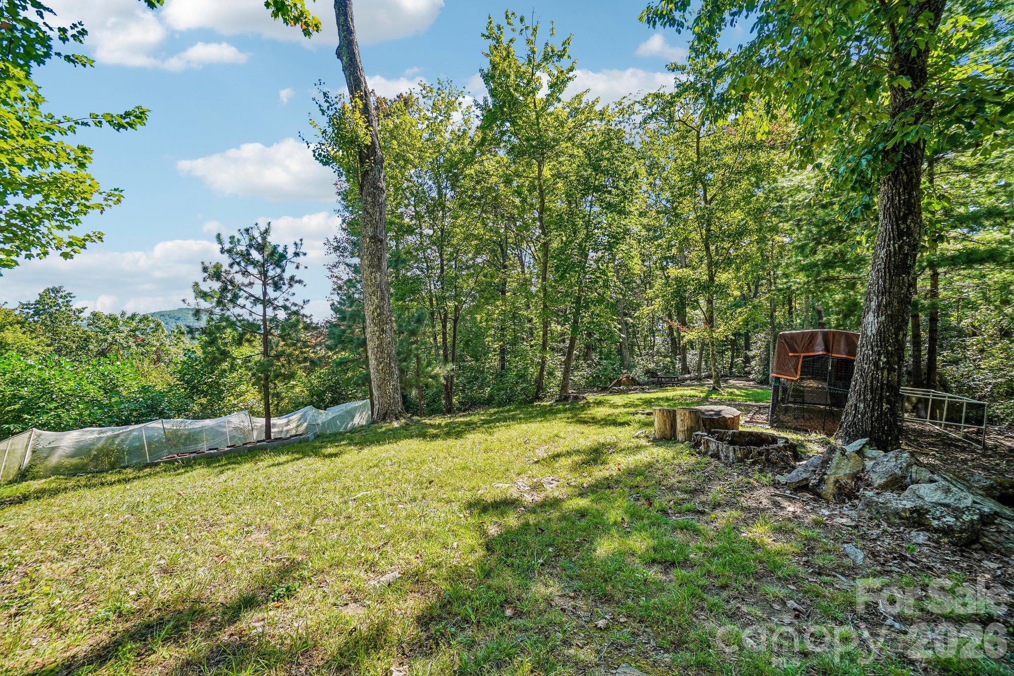 239 Bearwallow Mountain Road Property Photo 35