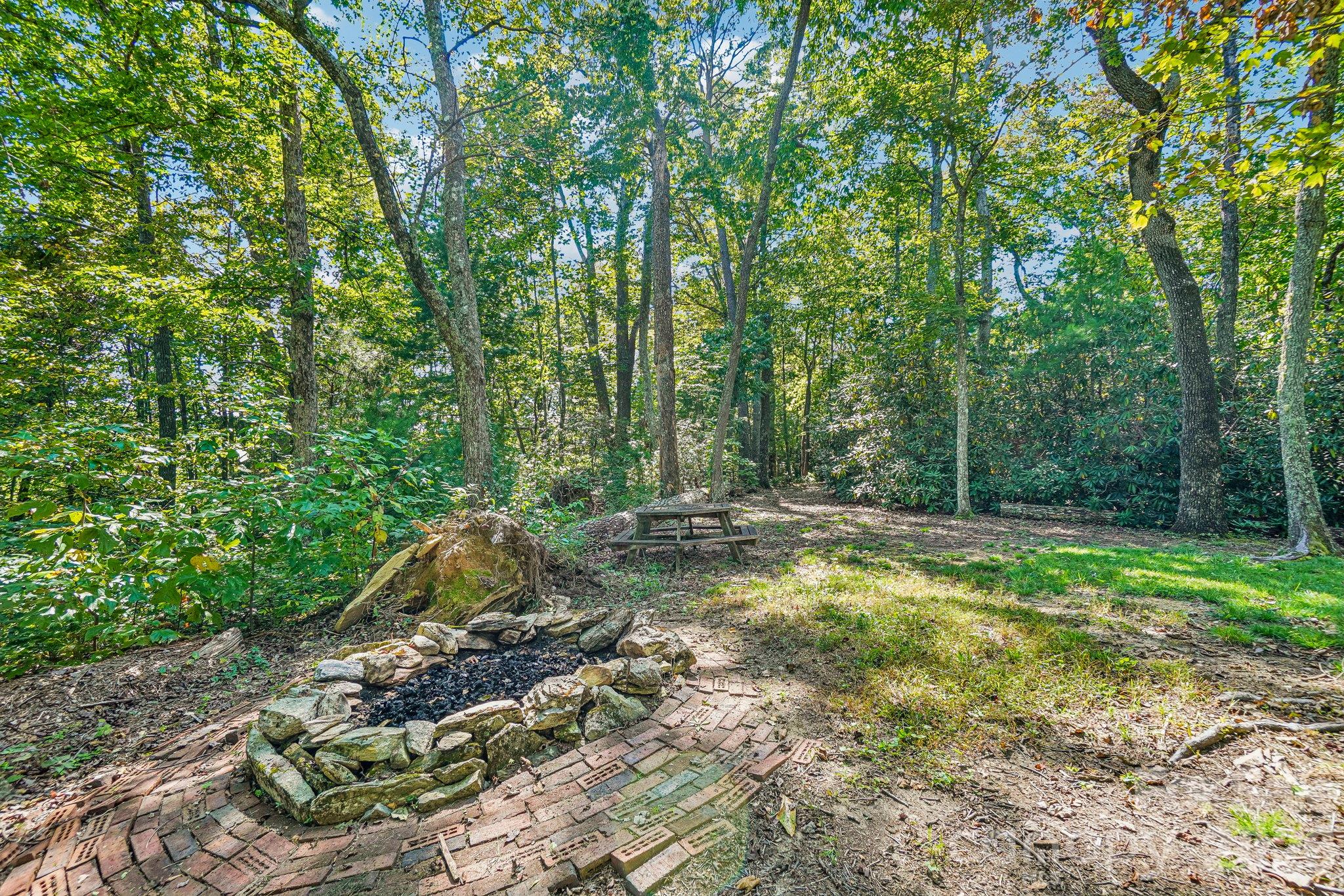 239 Bearwallow Mountain Road Property Photo 36