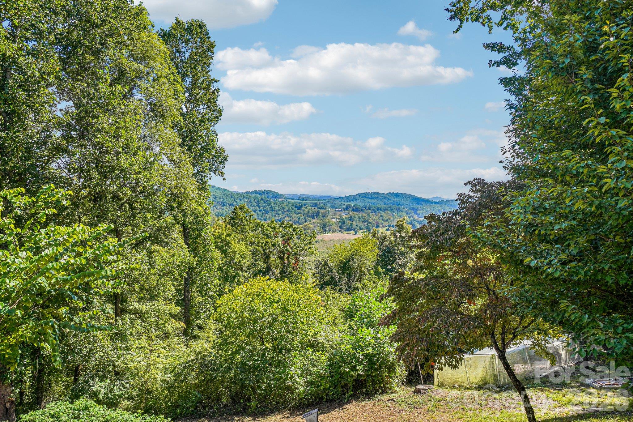 239 Bearwallow Mountain Road Property Photo 37