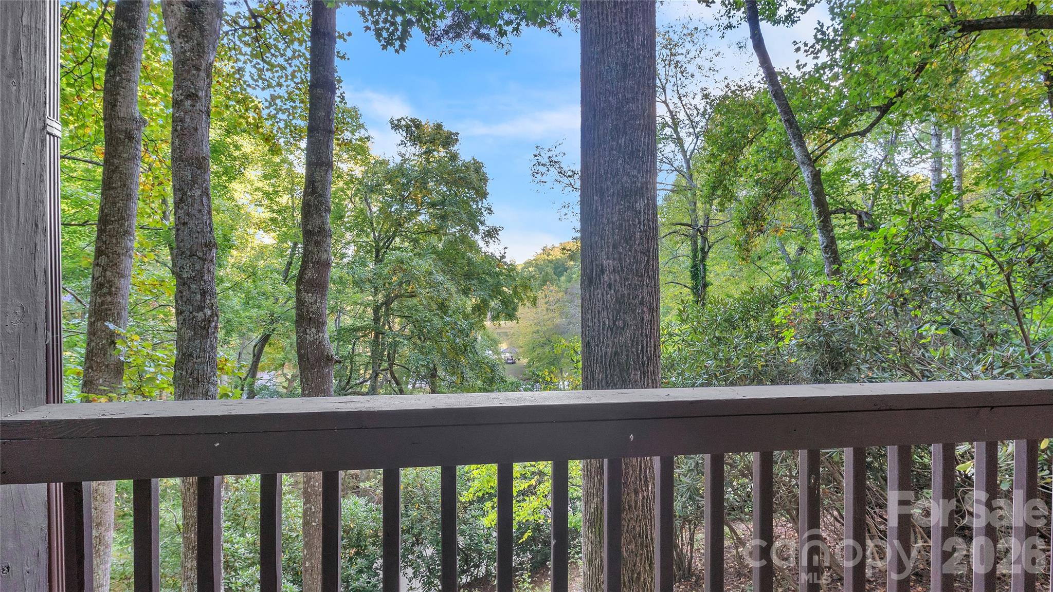 184 Raccoon Run Property Photo 29