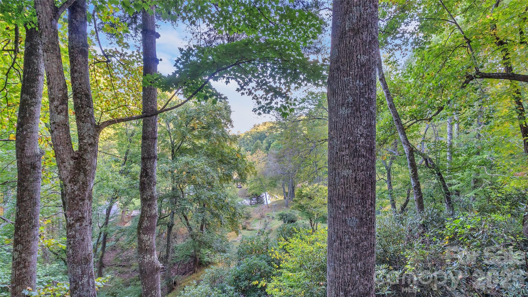 184 Raccoon Run Property Photo 32