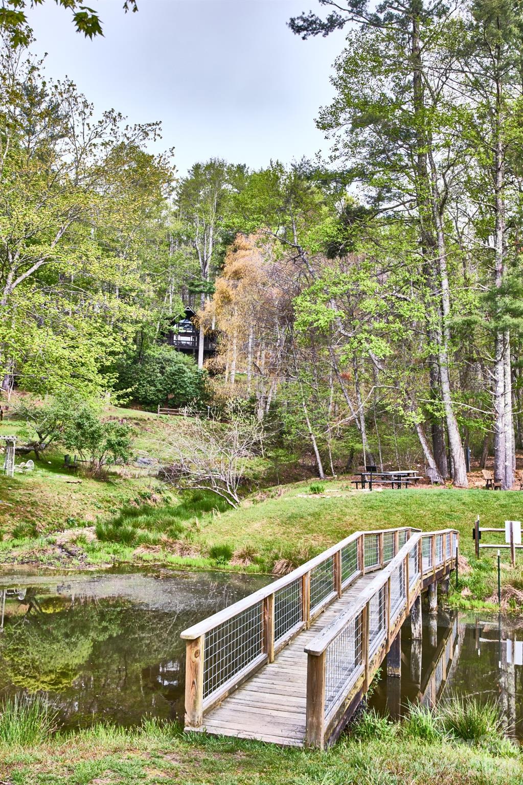 184 Raccoon Run Property Photo 40