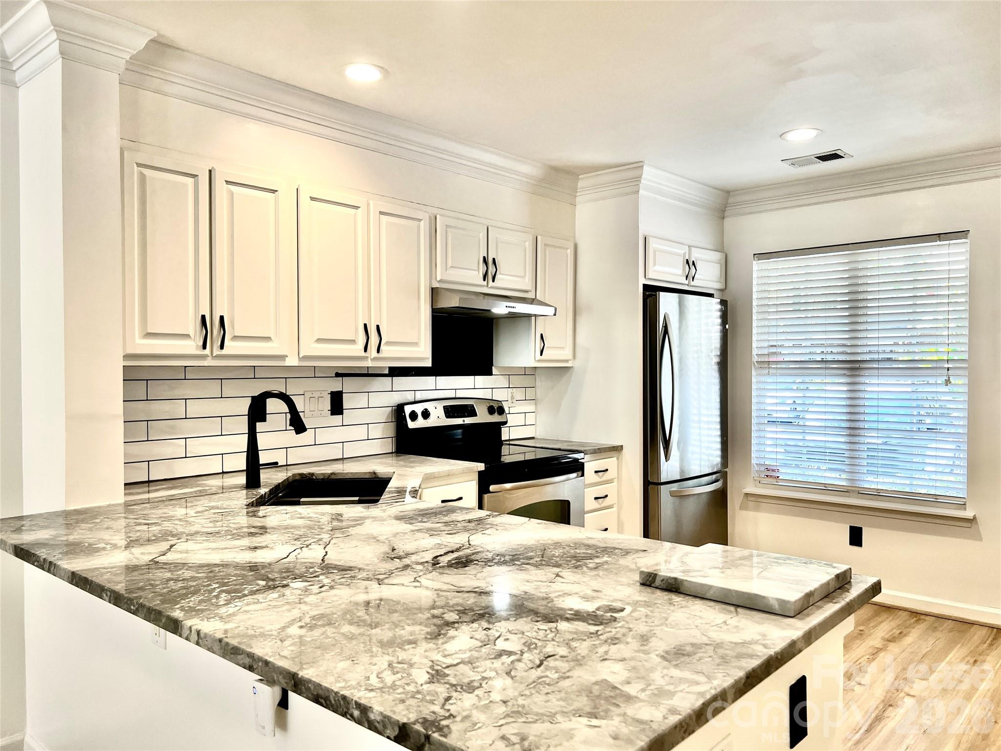 10132 Reindeer Way Lane Property Photo 3