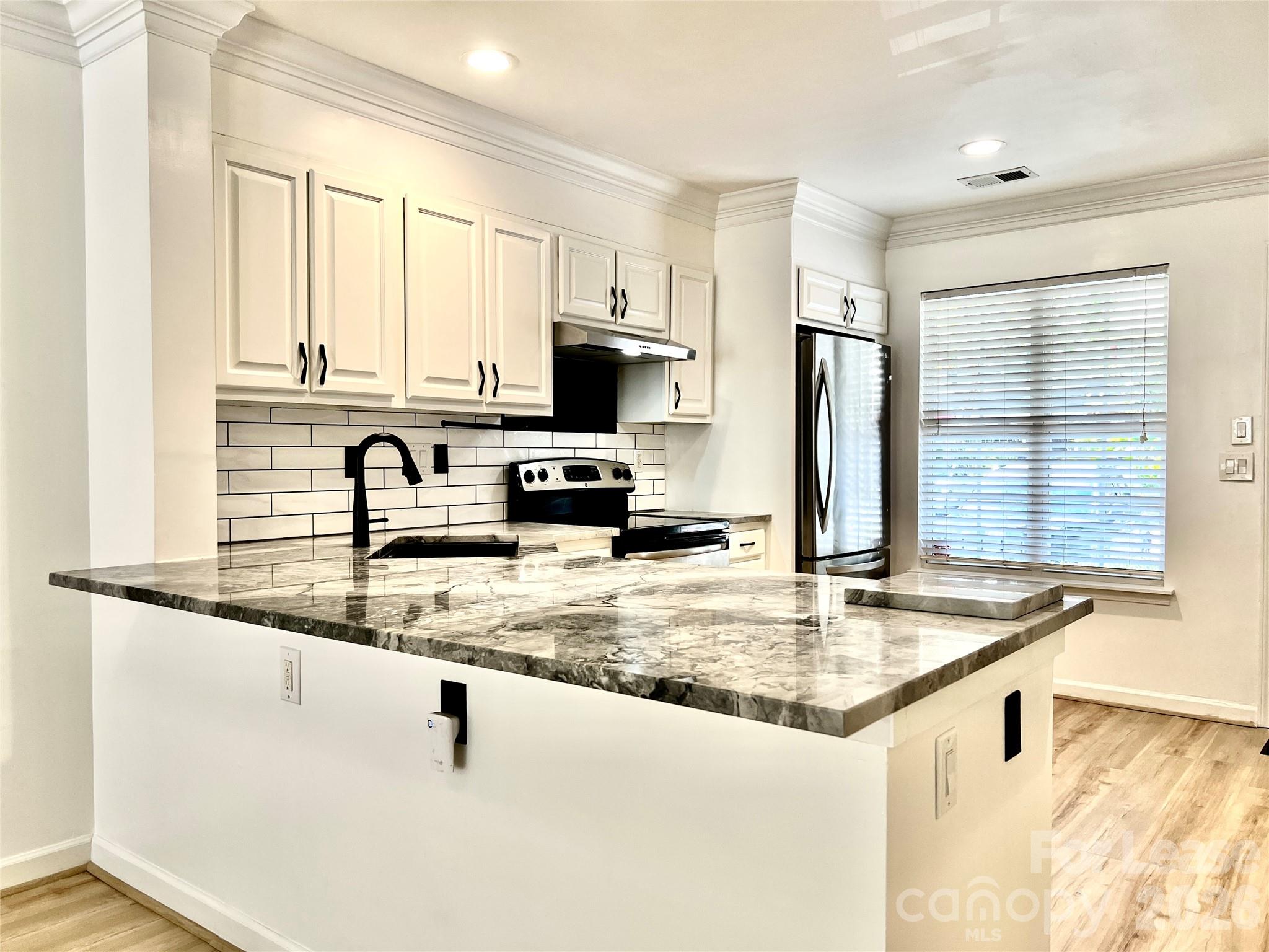 10132 Reindeer Way Lane Property Photo 4