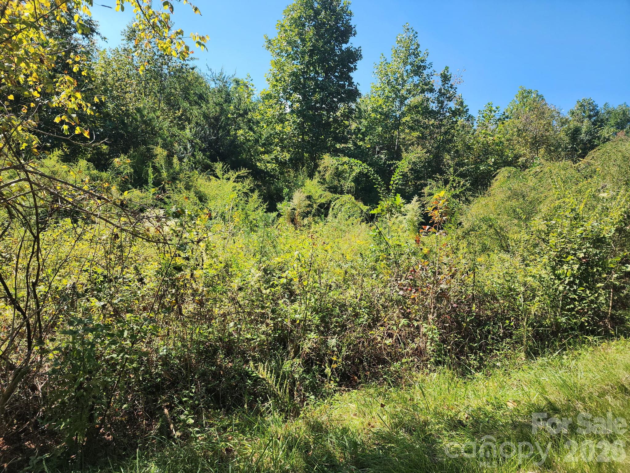 0 Freemantown Road Property Photo 5