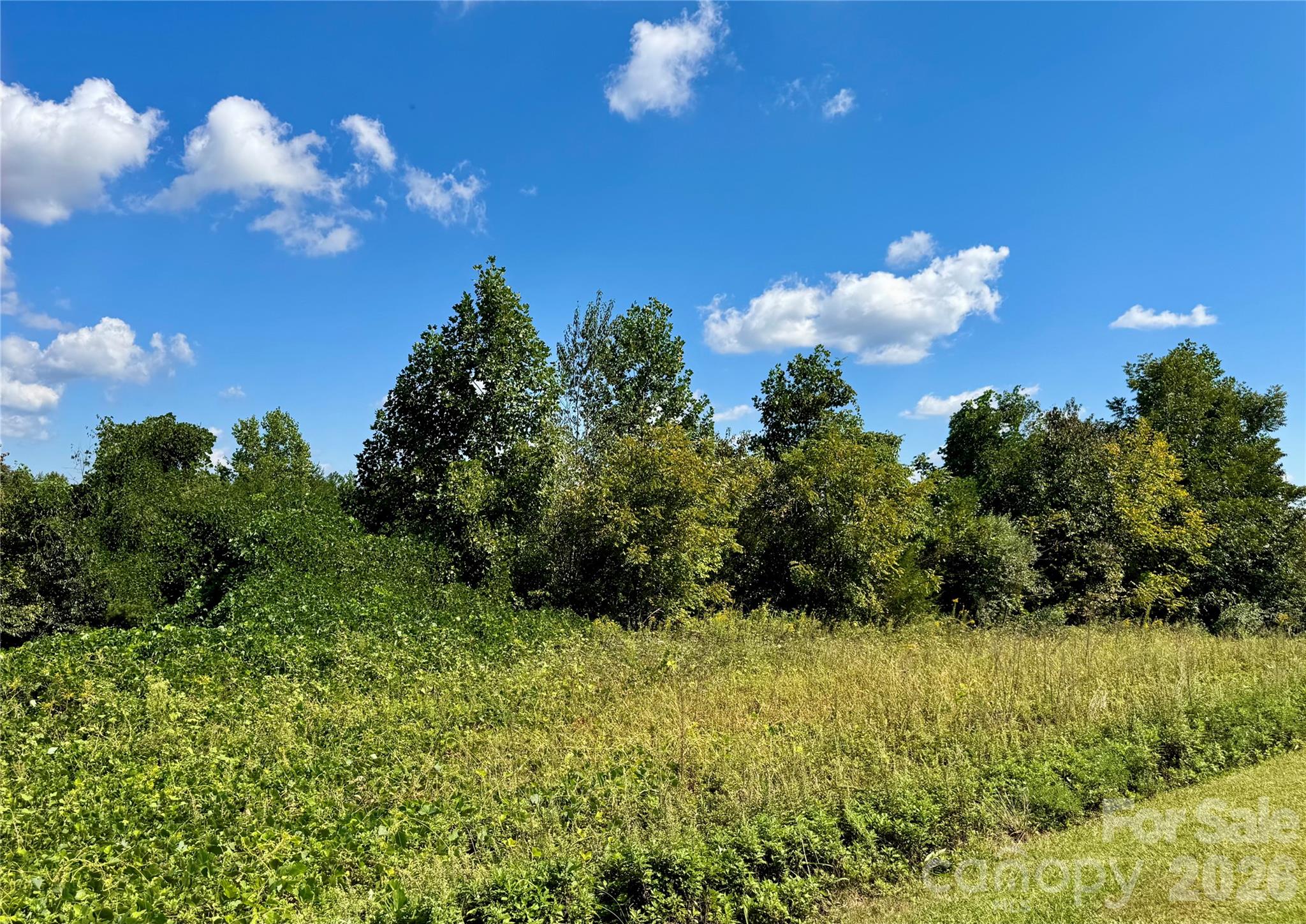 0 Freemantown Road Property Photo 6