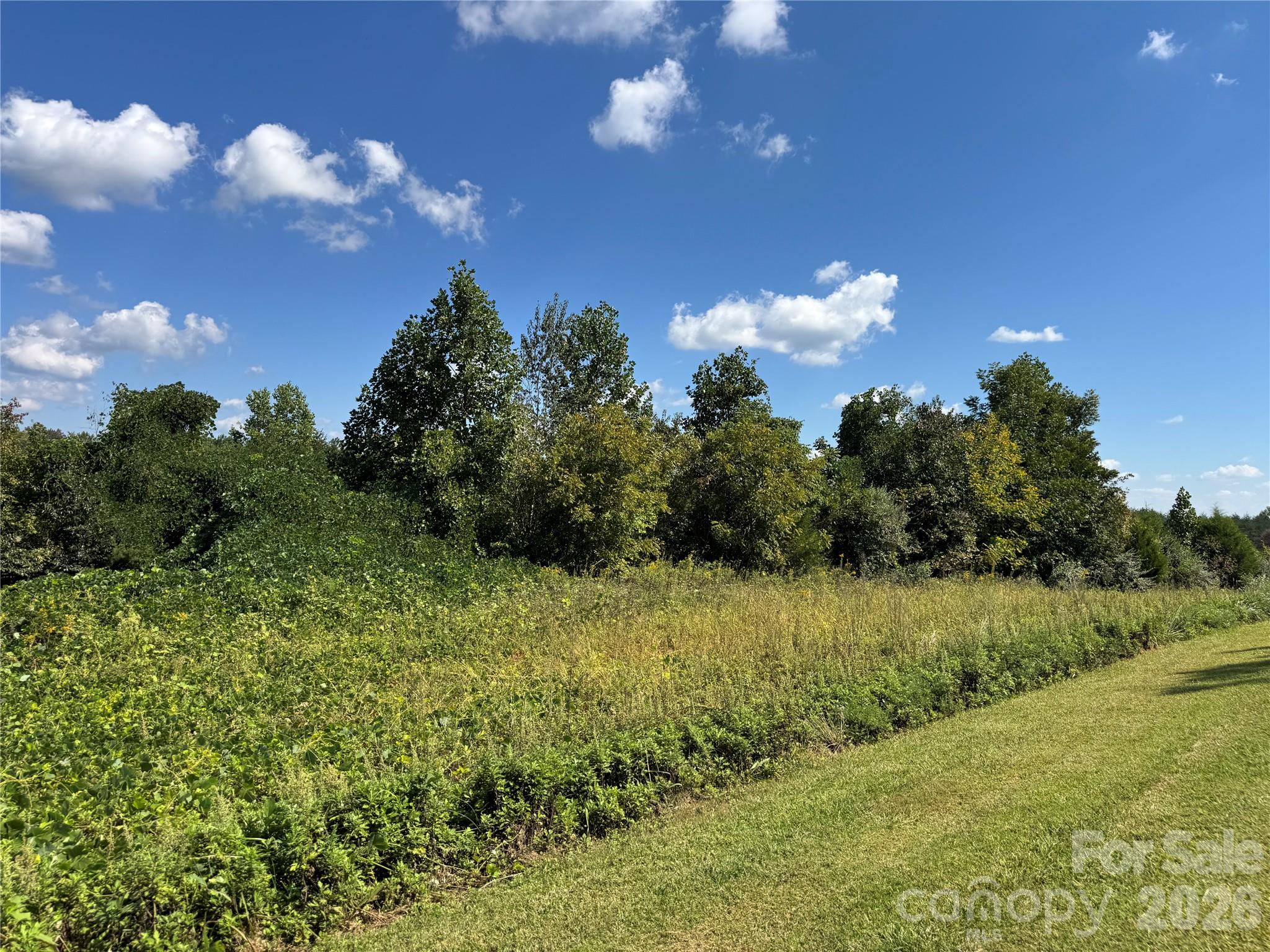 0 Freemantown Road Property Photo 10