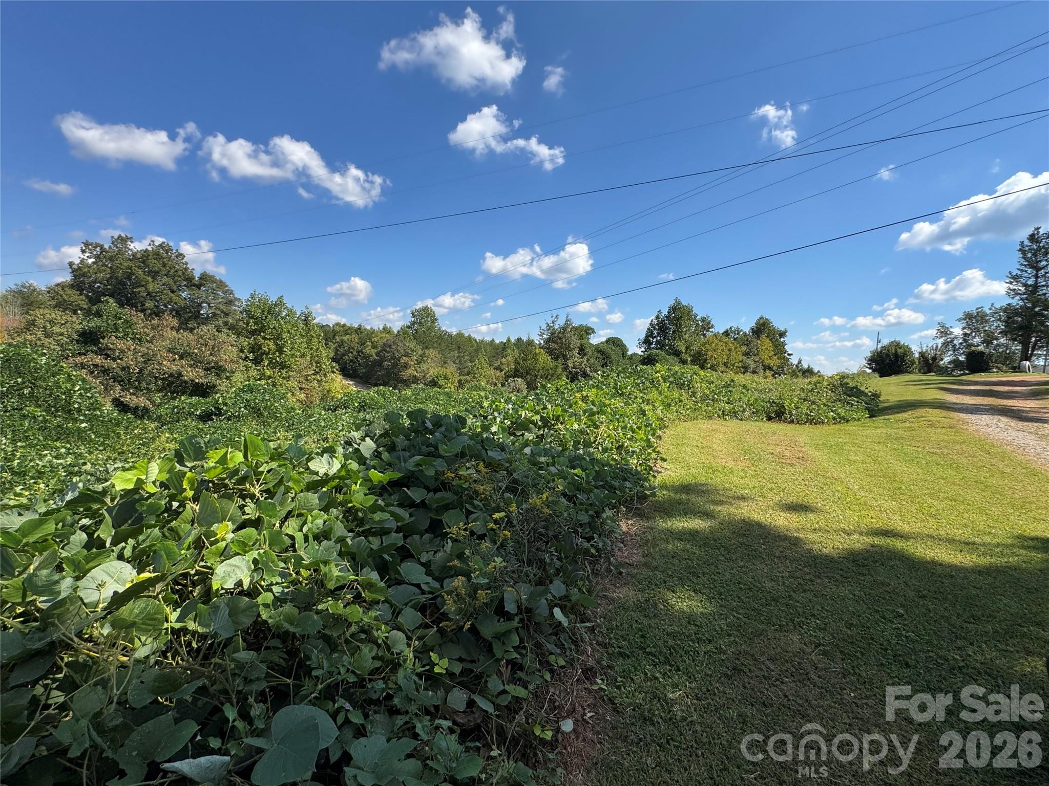 0 Freemantown Road Property Photo 12