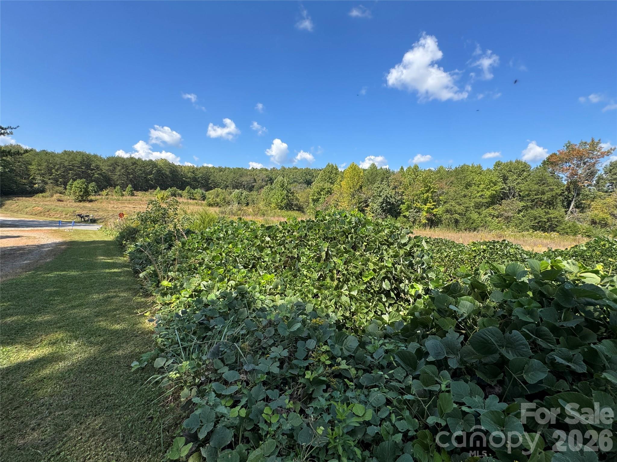 0 Freemantown Road Property Photo 13