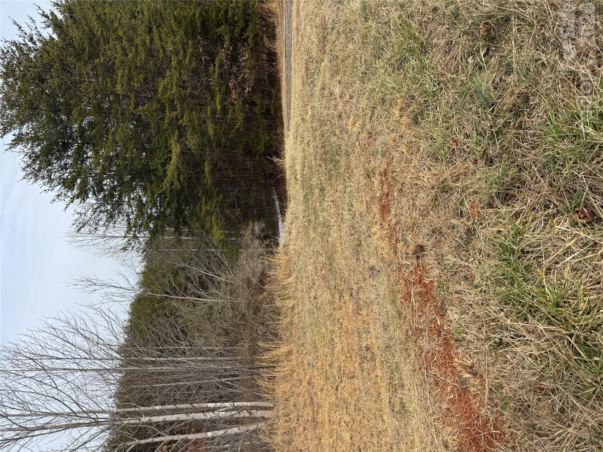 0 Freemantown Road Property Photo 16