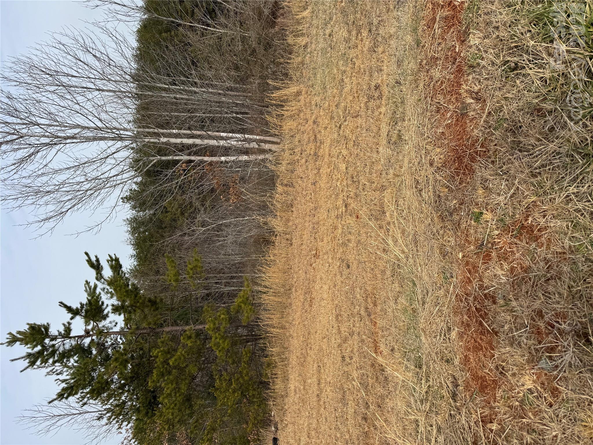 0 Freemantown Road Property Photo 17