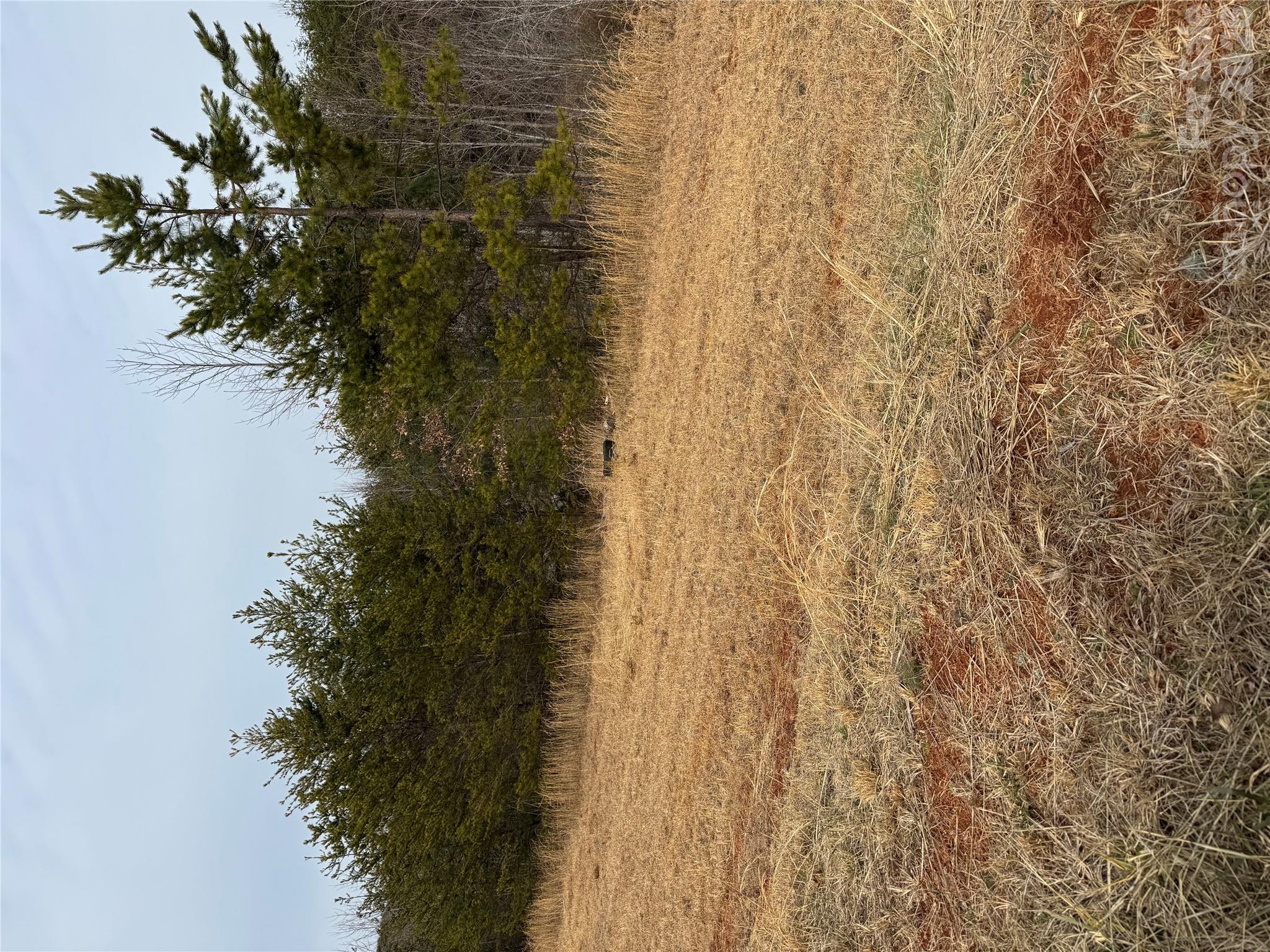 0 Freemantown Road Property Photo 18