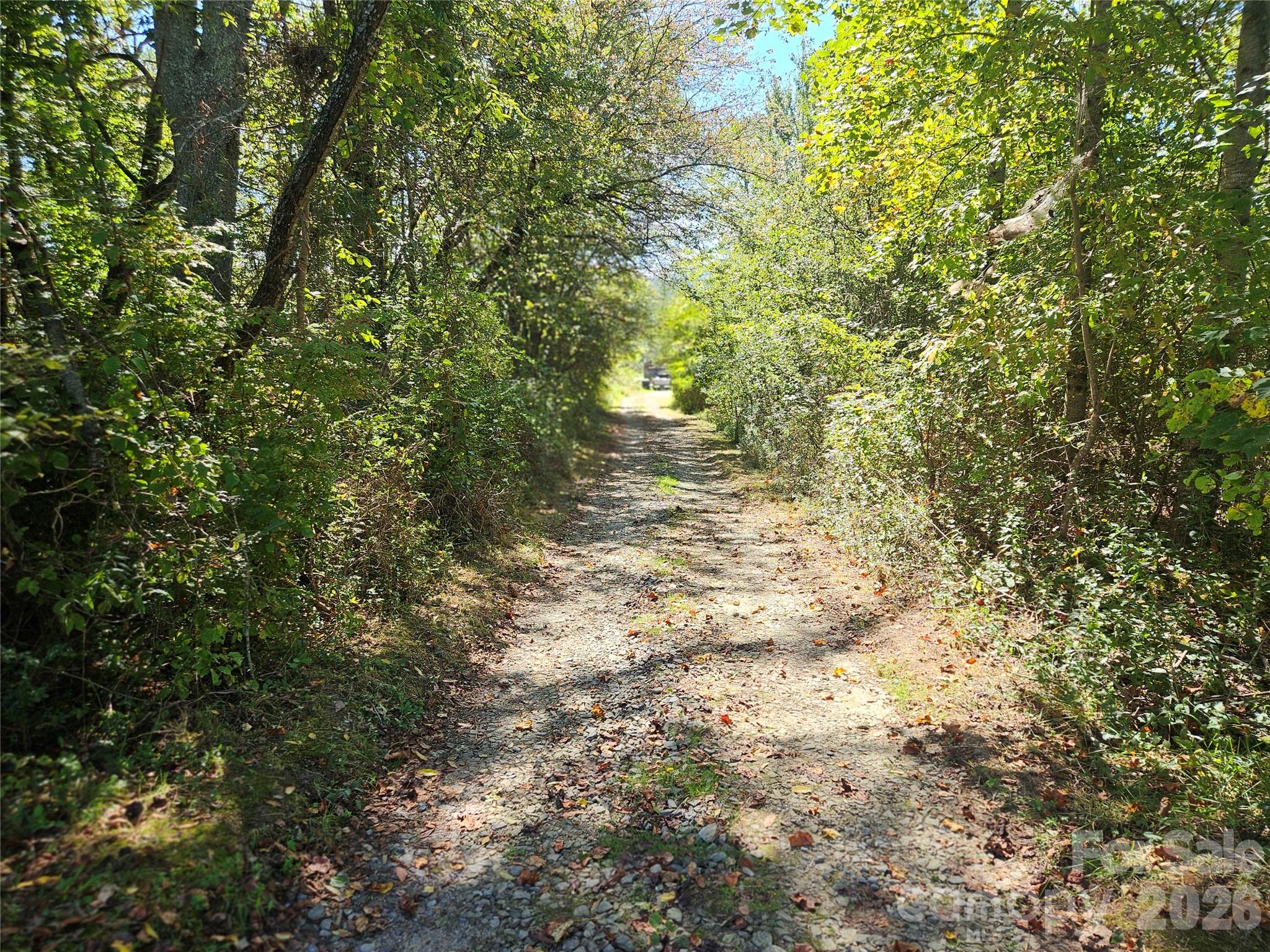 Tbd Patterson Estate Road 5 Property Photo 3