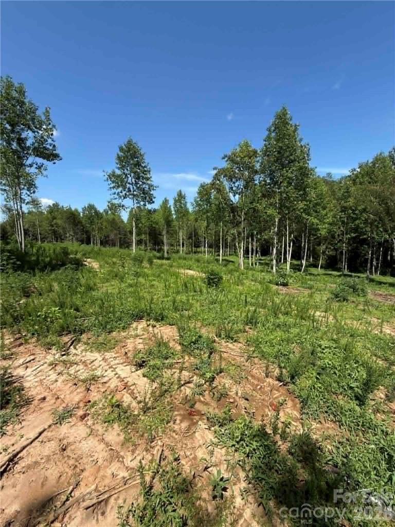 2625 Sprouse Road Property Photo 10
