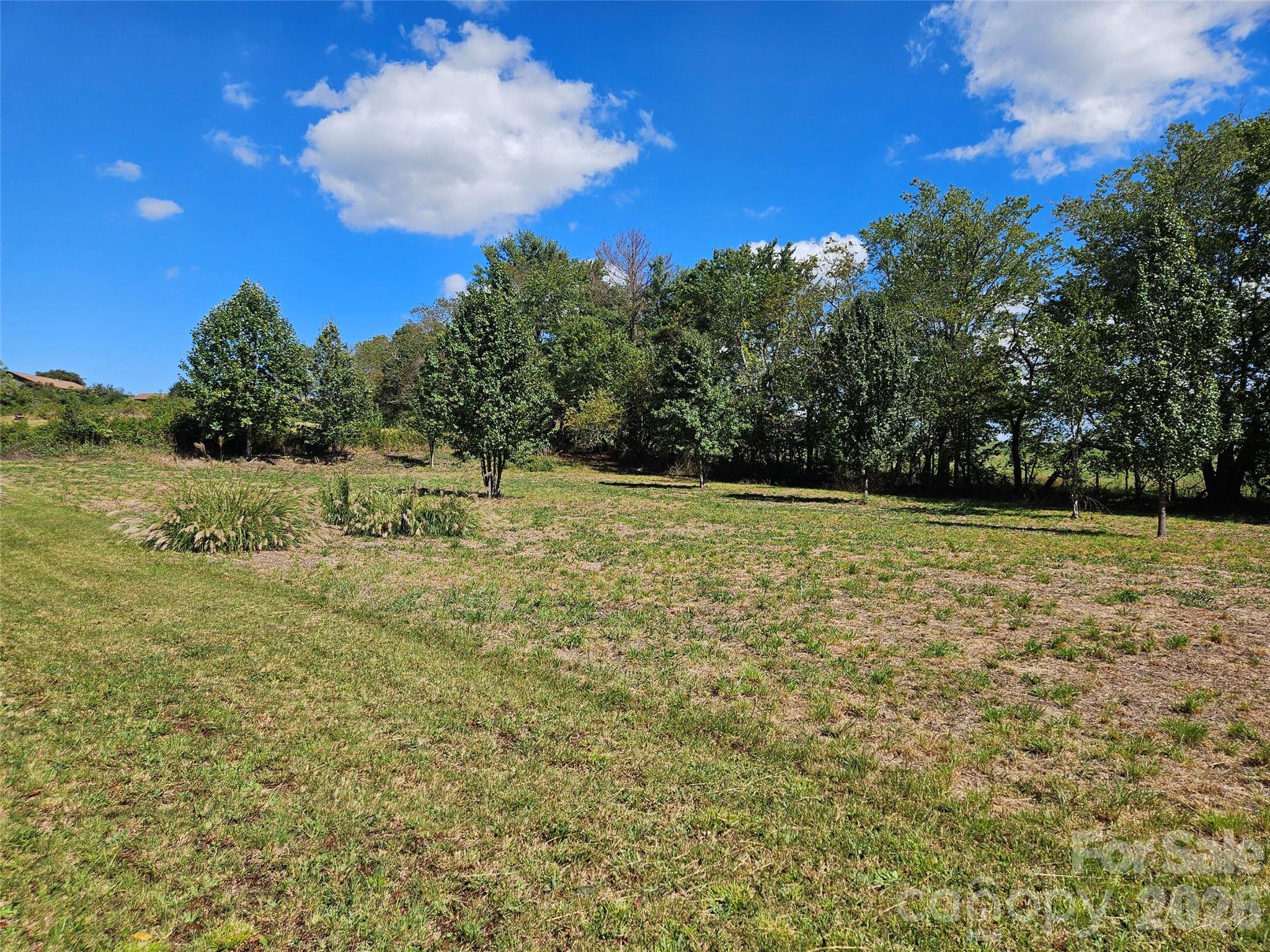 Tbd Patterson Estate Road 6 Property Photo 5