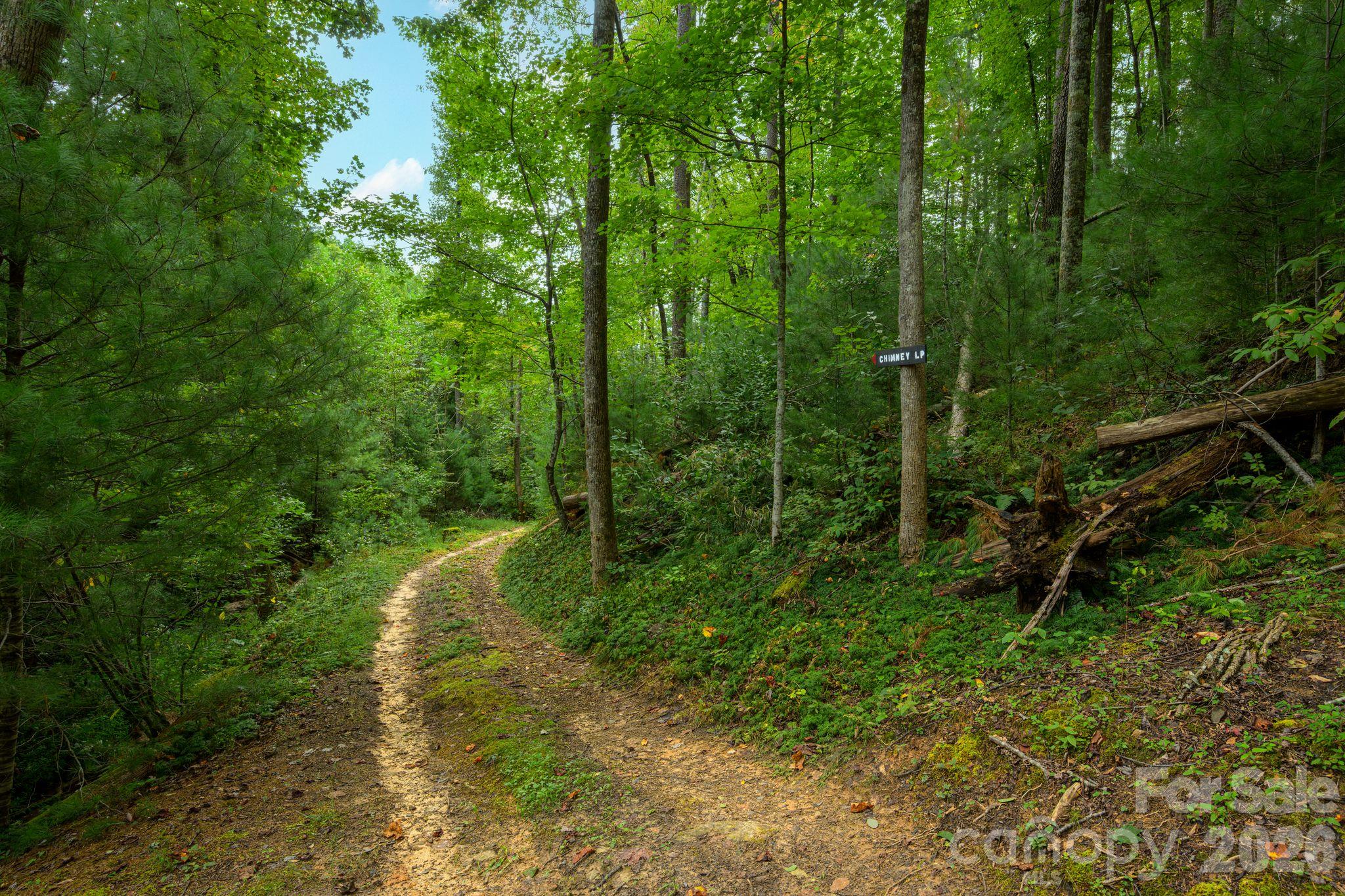 0000 Chestnut Grove Road Property Photo 15