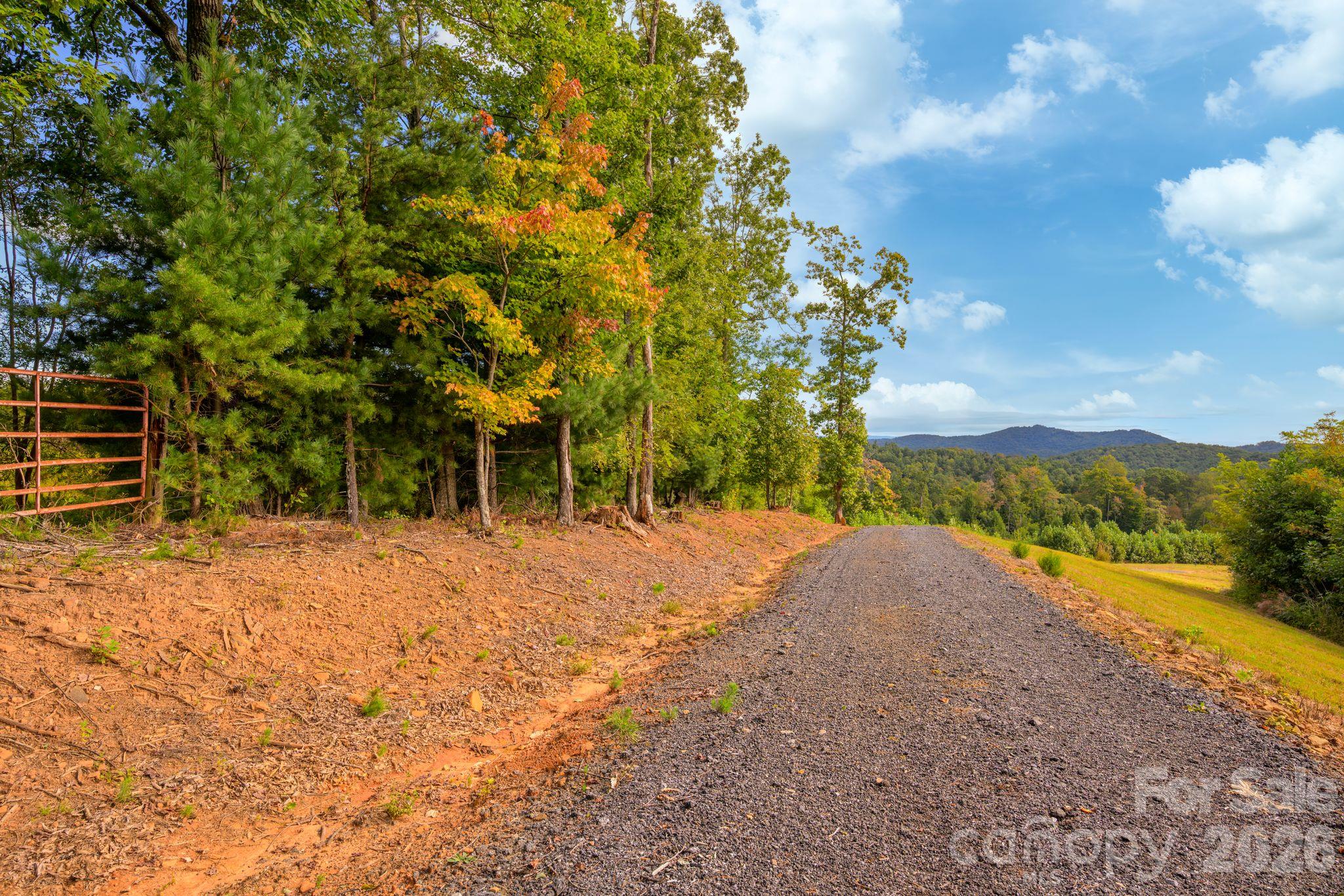 1177 Chestnut Grove Road Property Photo 2