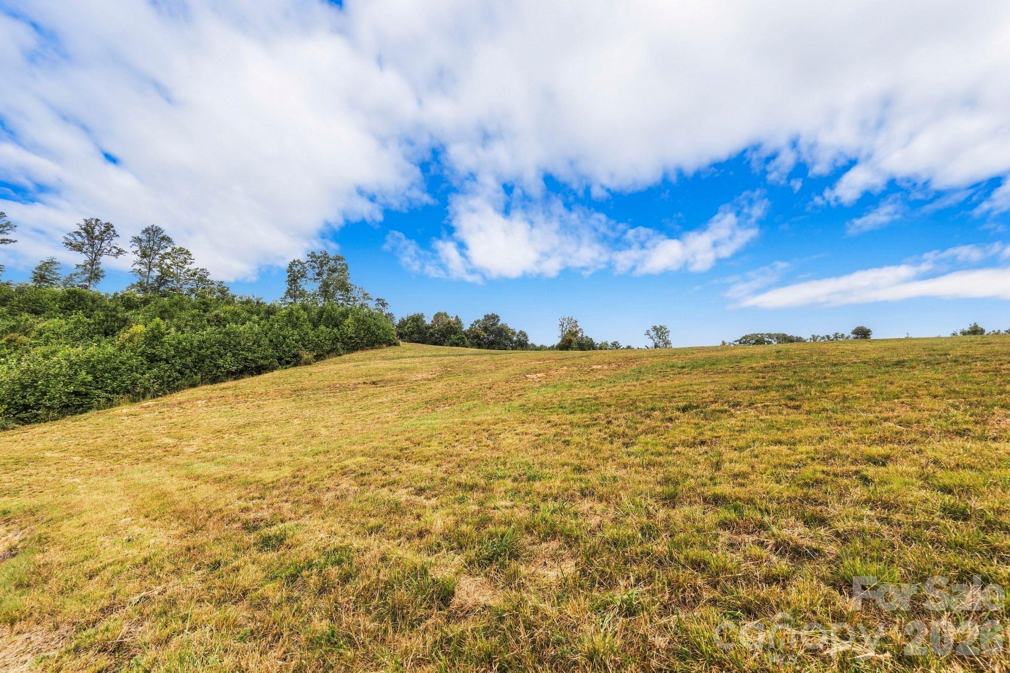 1177 Chestnut Grove Road Property Photo 10