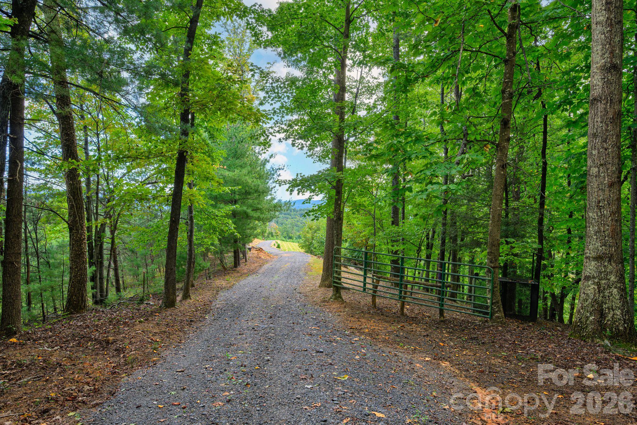 1177 Chestnut Grove Road Property Photo 11