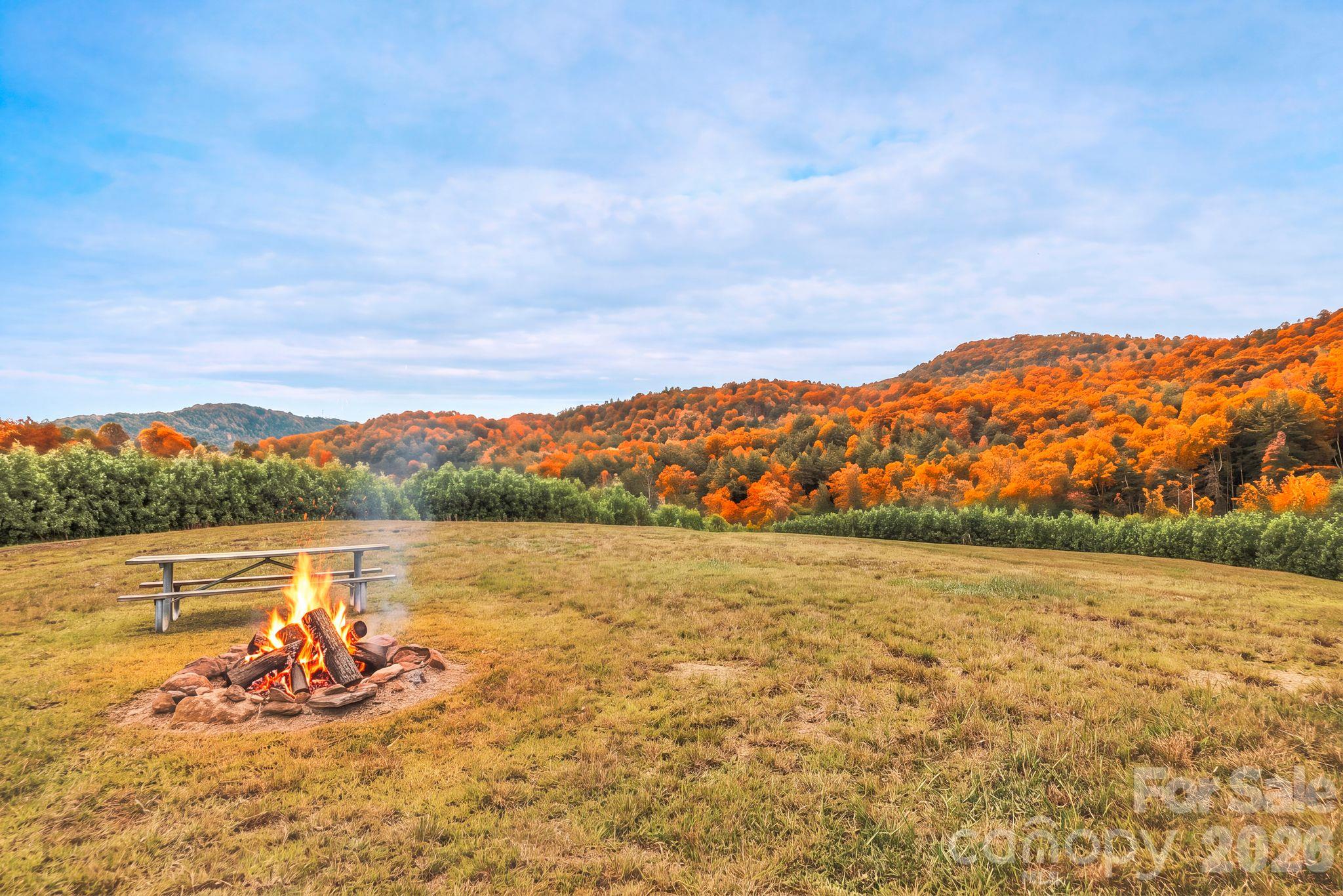 1177 Chestnut Grove Road Property Photo 13